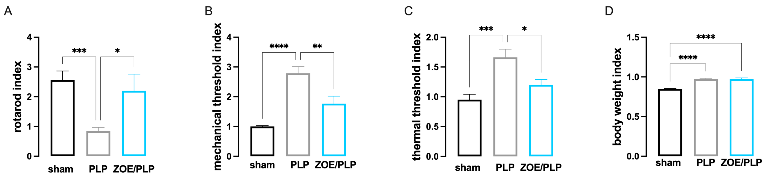 Biomedicines 13 00278 g002