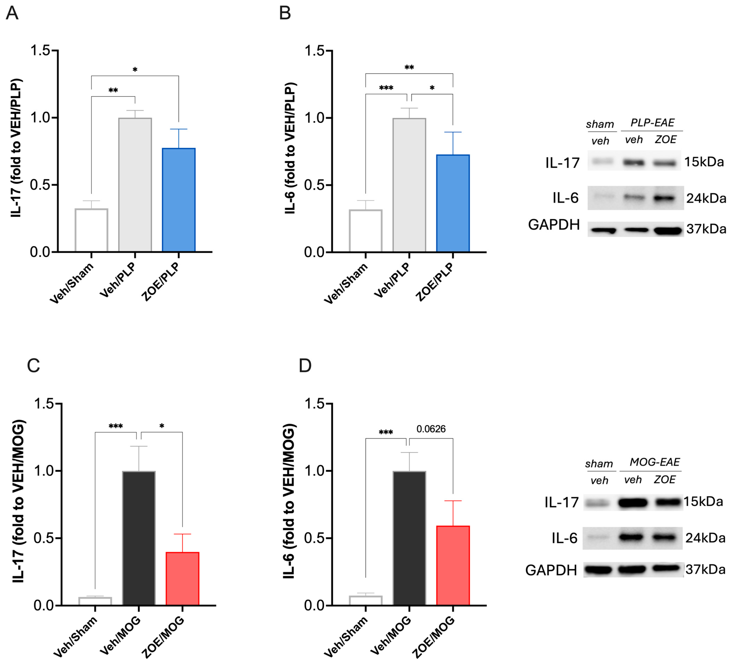 Biomedicines 13 00278 g007