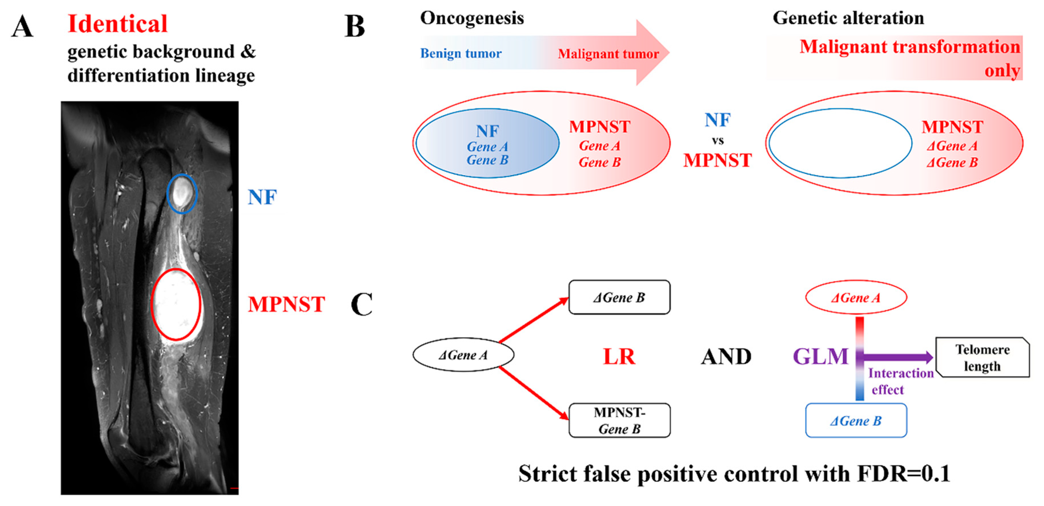 Biomedicines 13 00281 g001