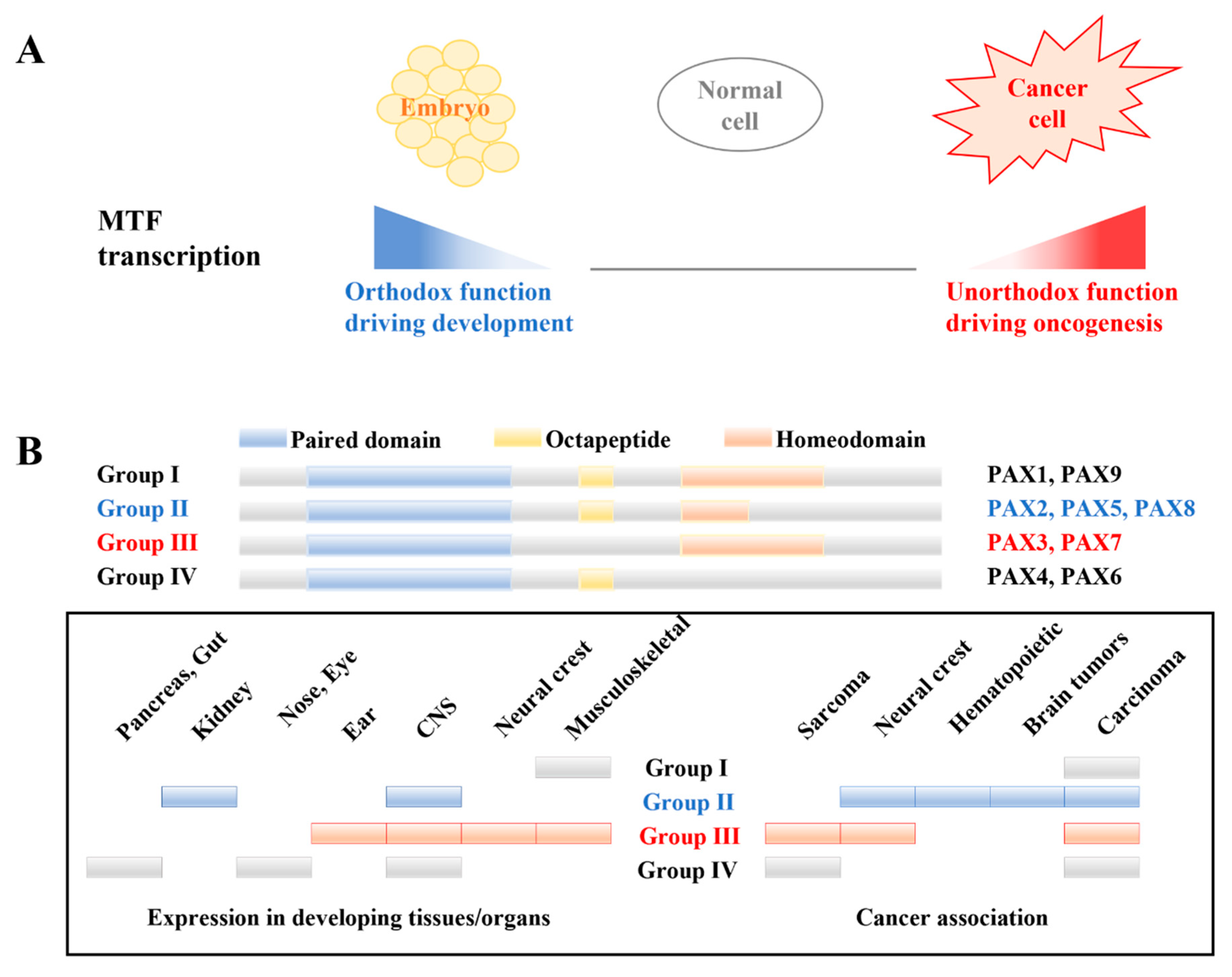 Biomedicines 13 00281 g003