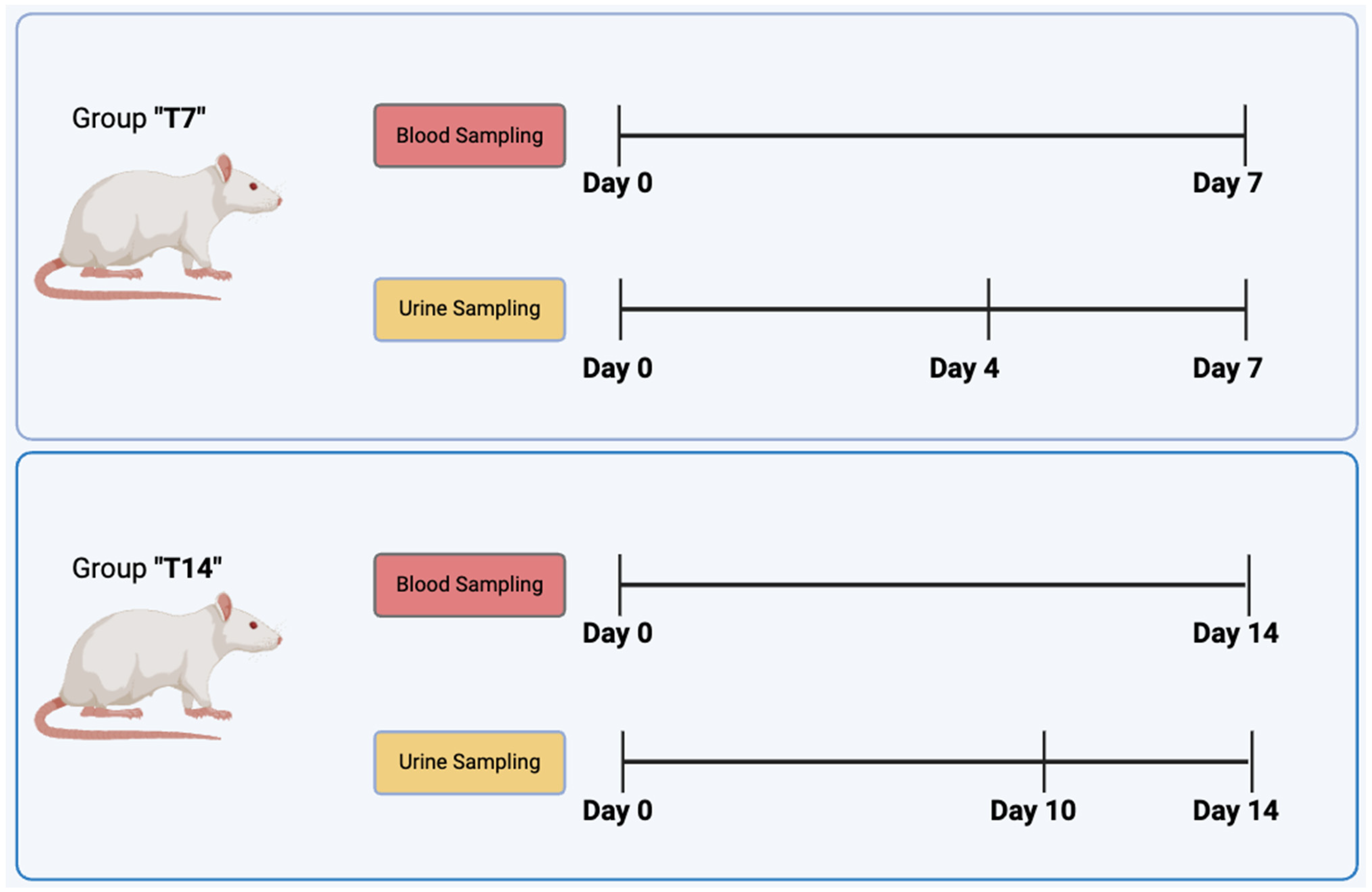 Biomedicines 13 00285 g003