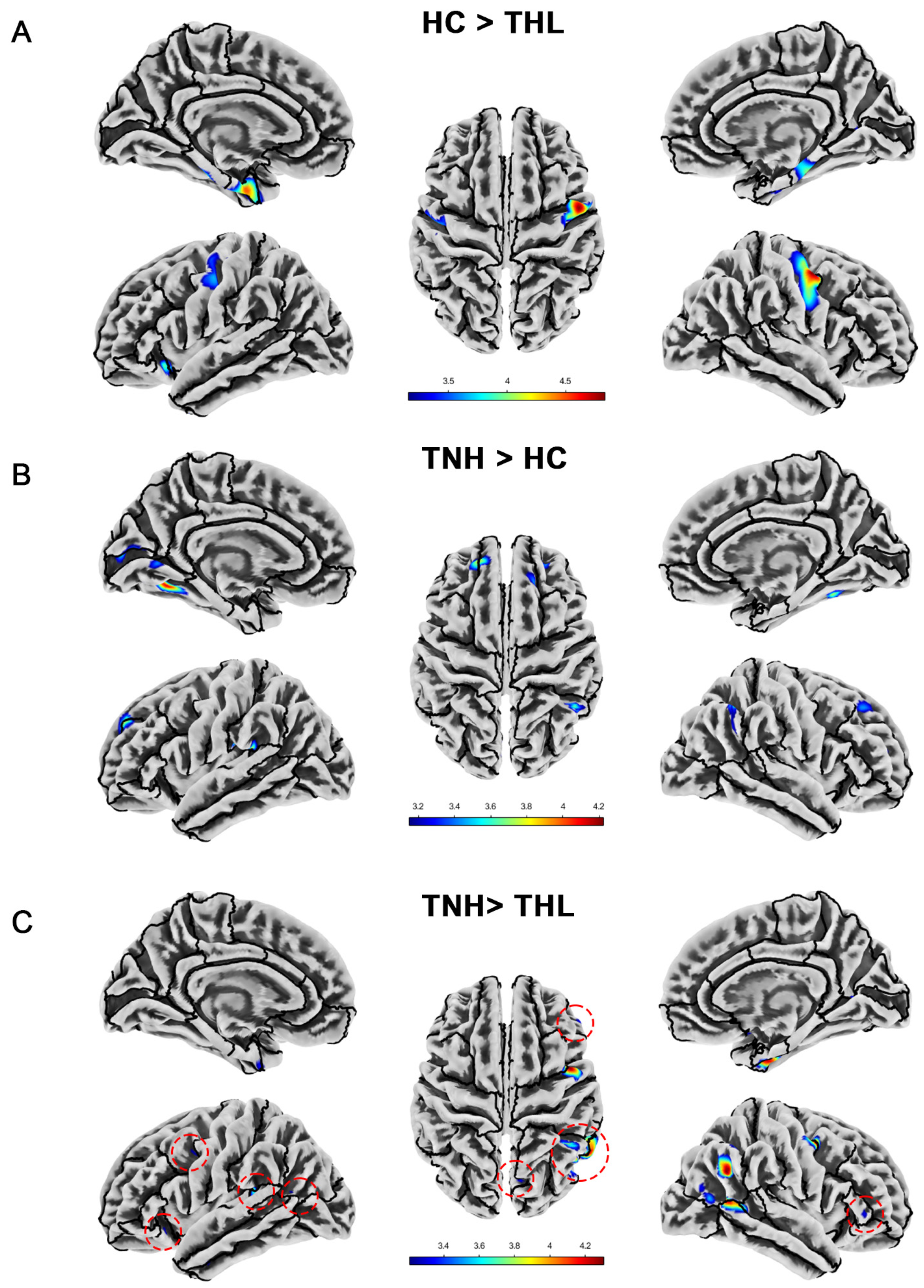 Biomedicines 13 00286 g002