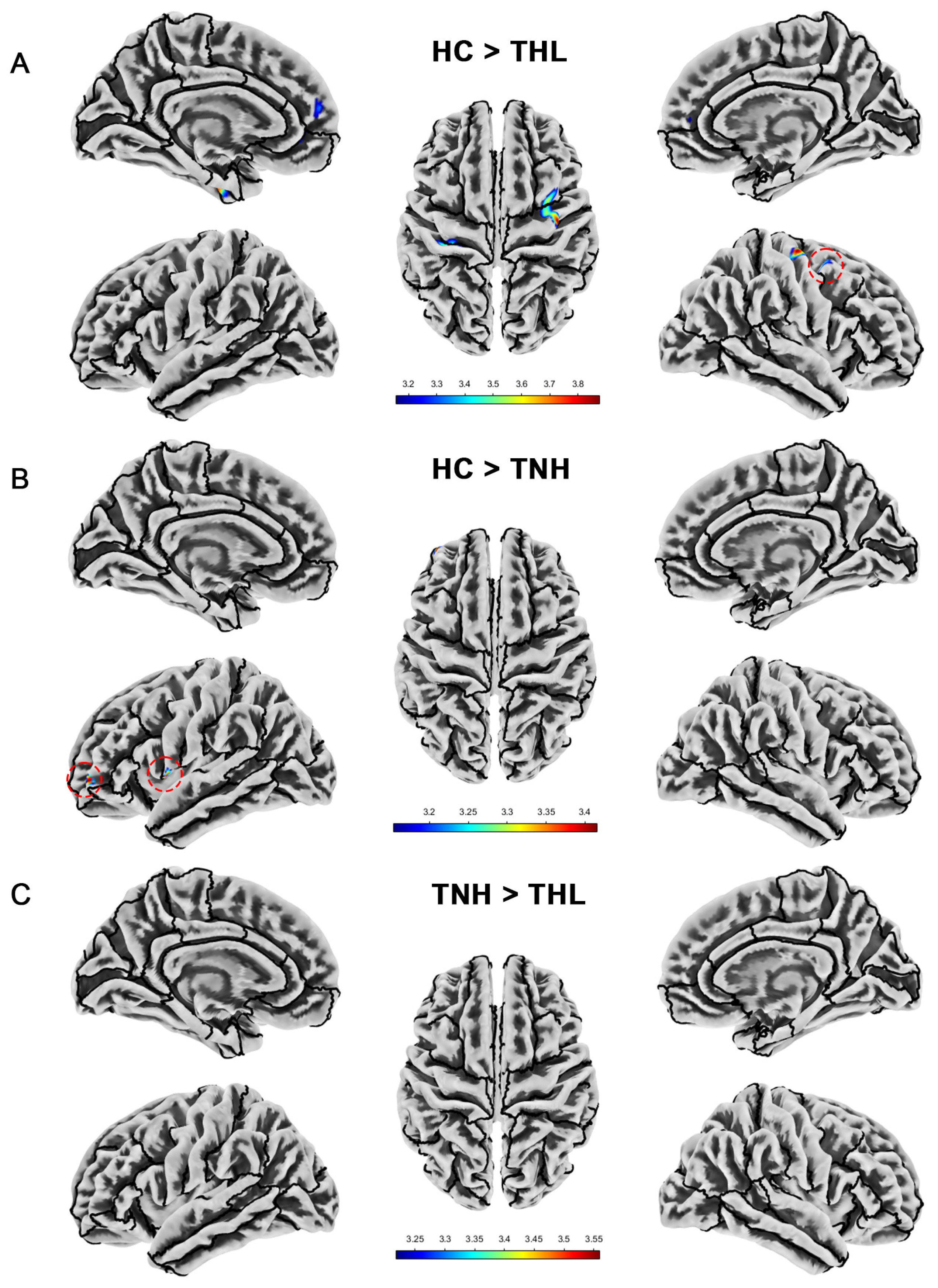 Biomedicines 13 00286 g003