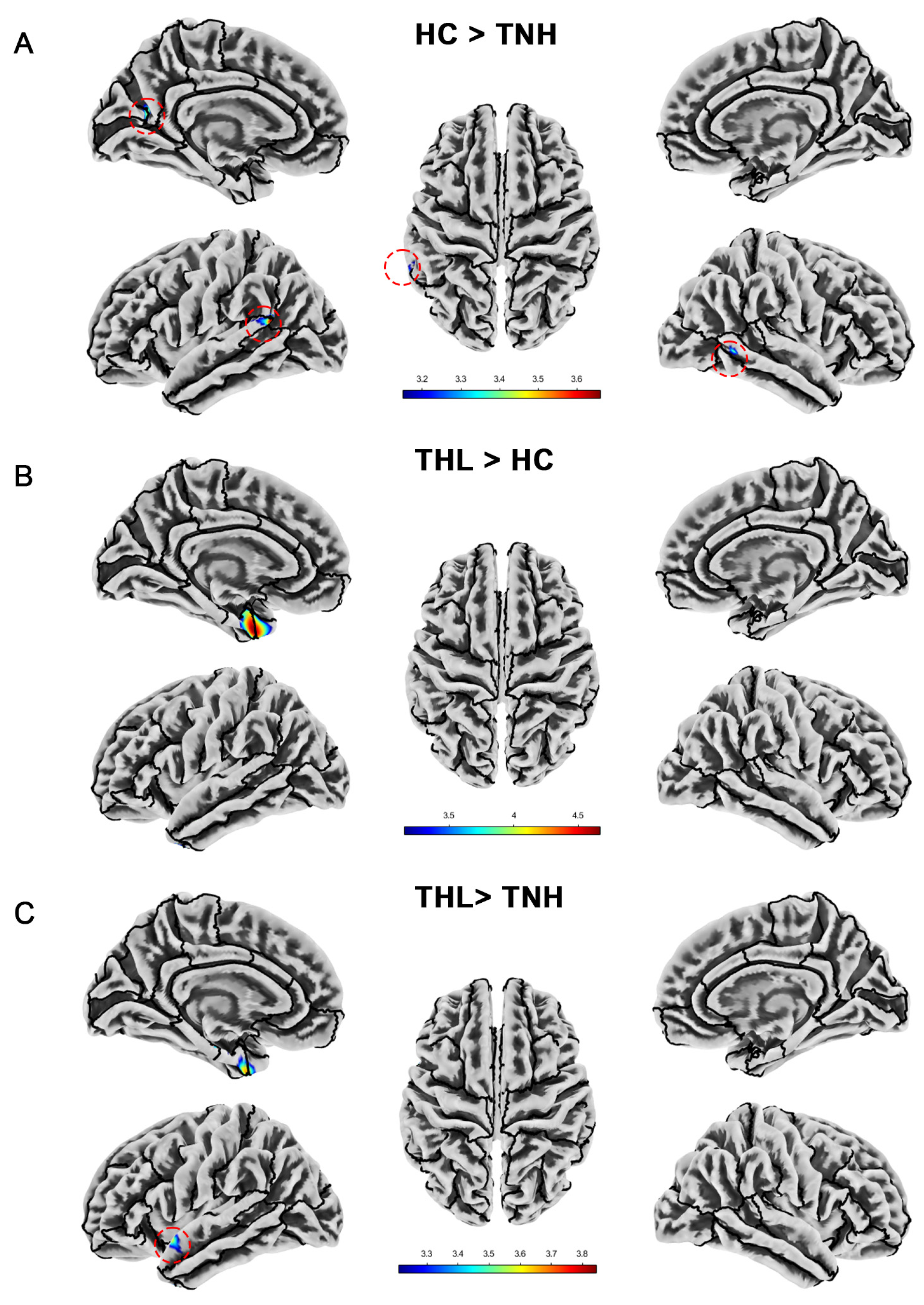 Biomedicines 13 00286 g004