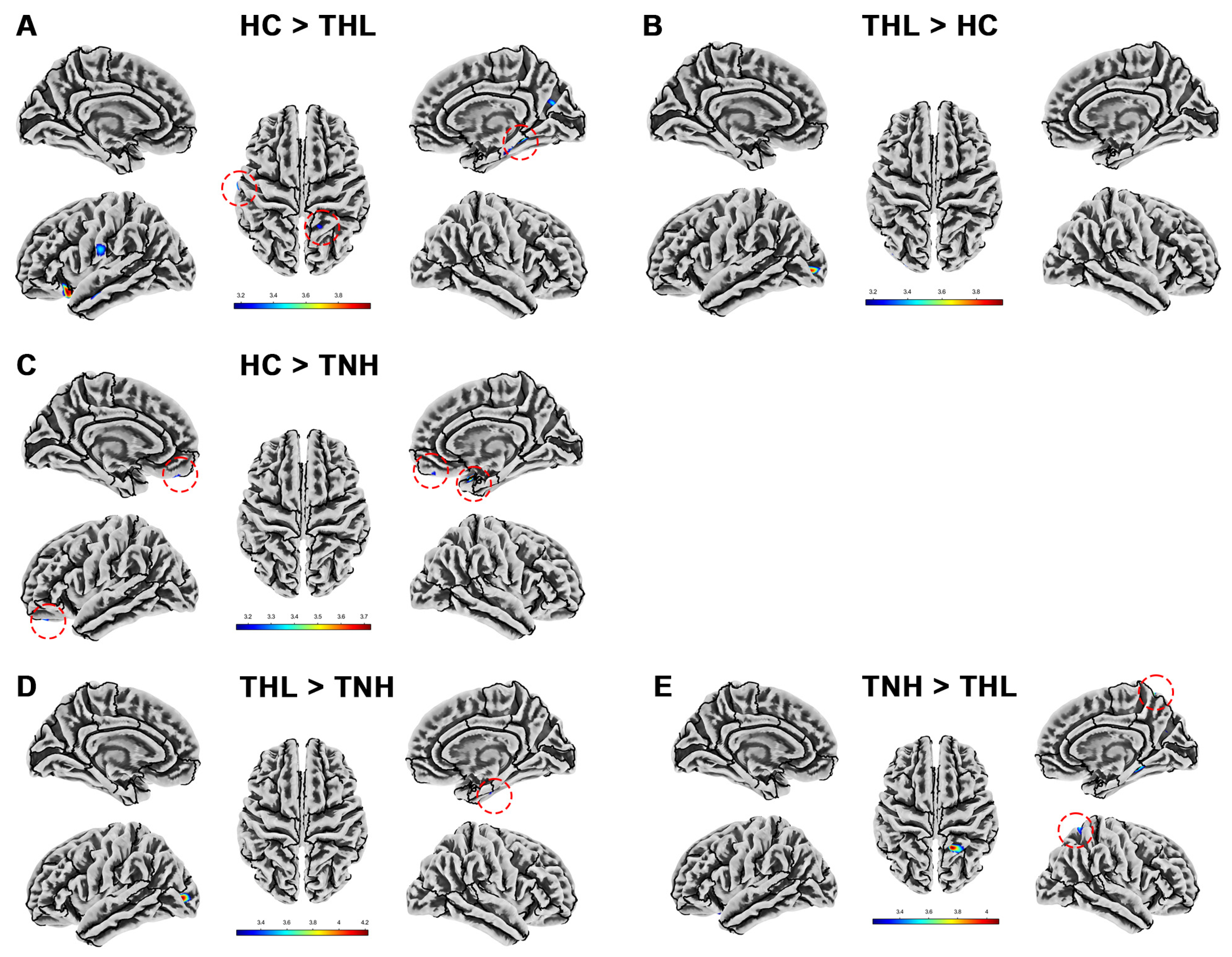 Biomedicines 13 00286 g005