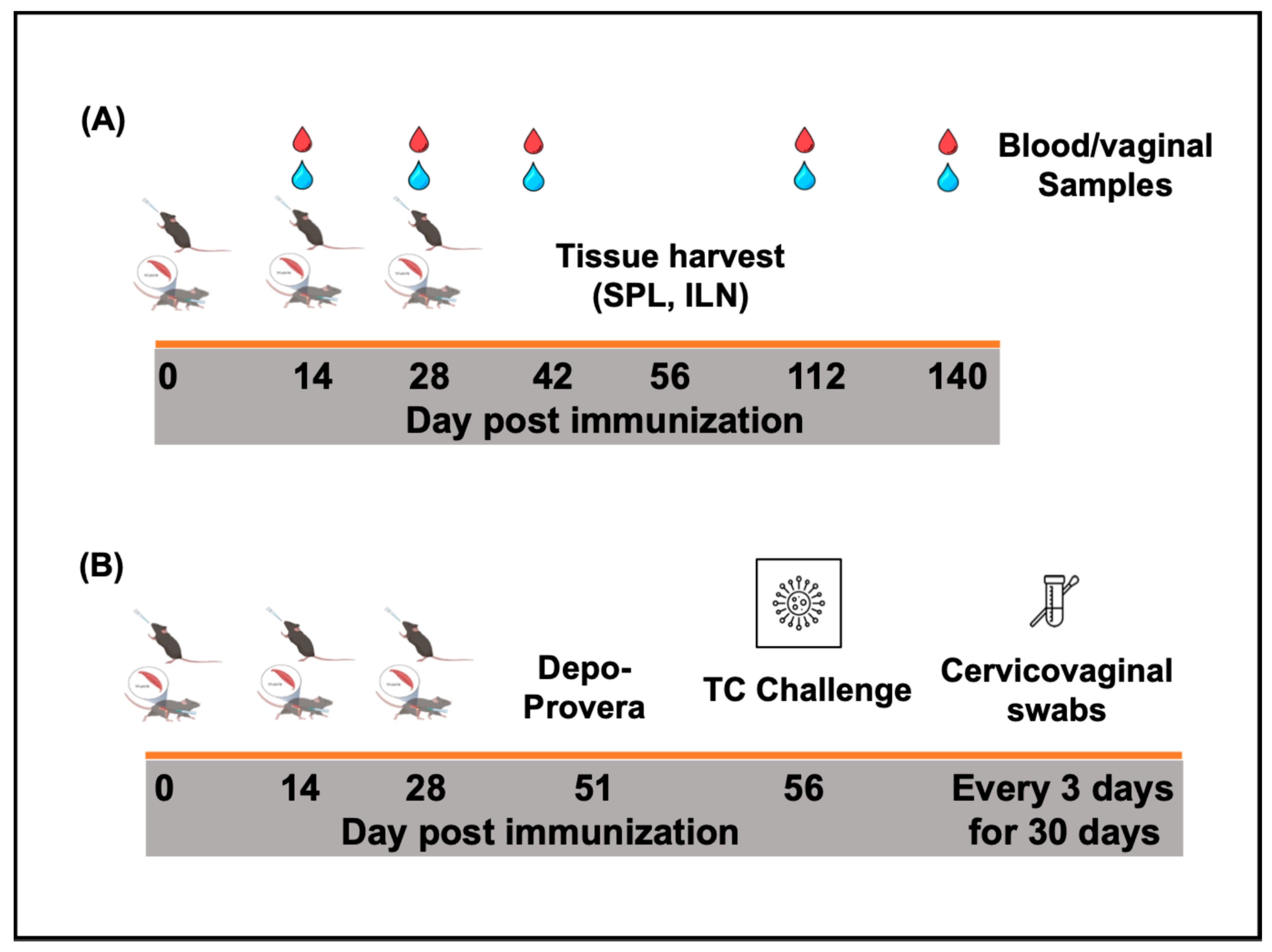 Biomedicines 13 00288 g002