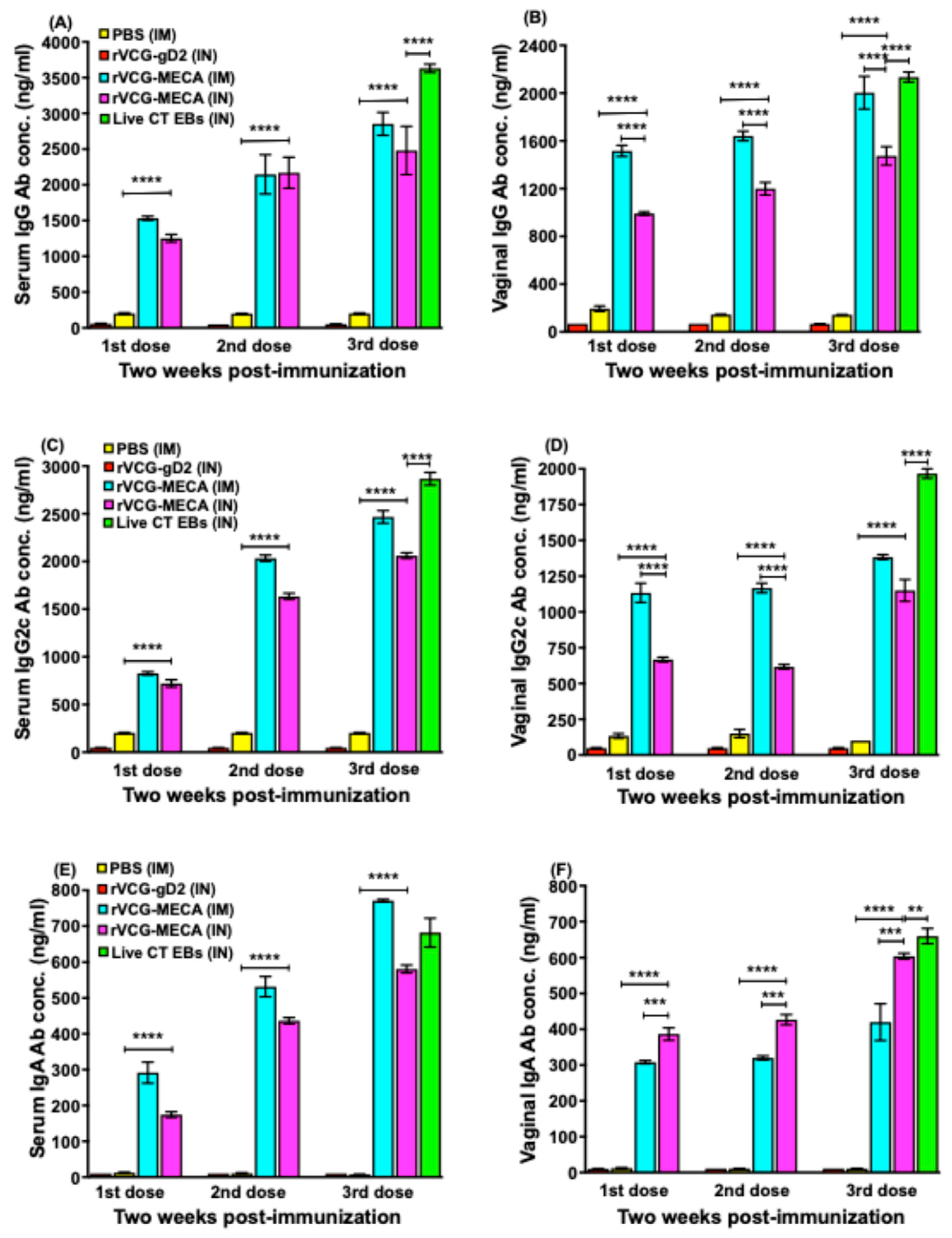 Biomedicines 13 00288 g003