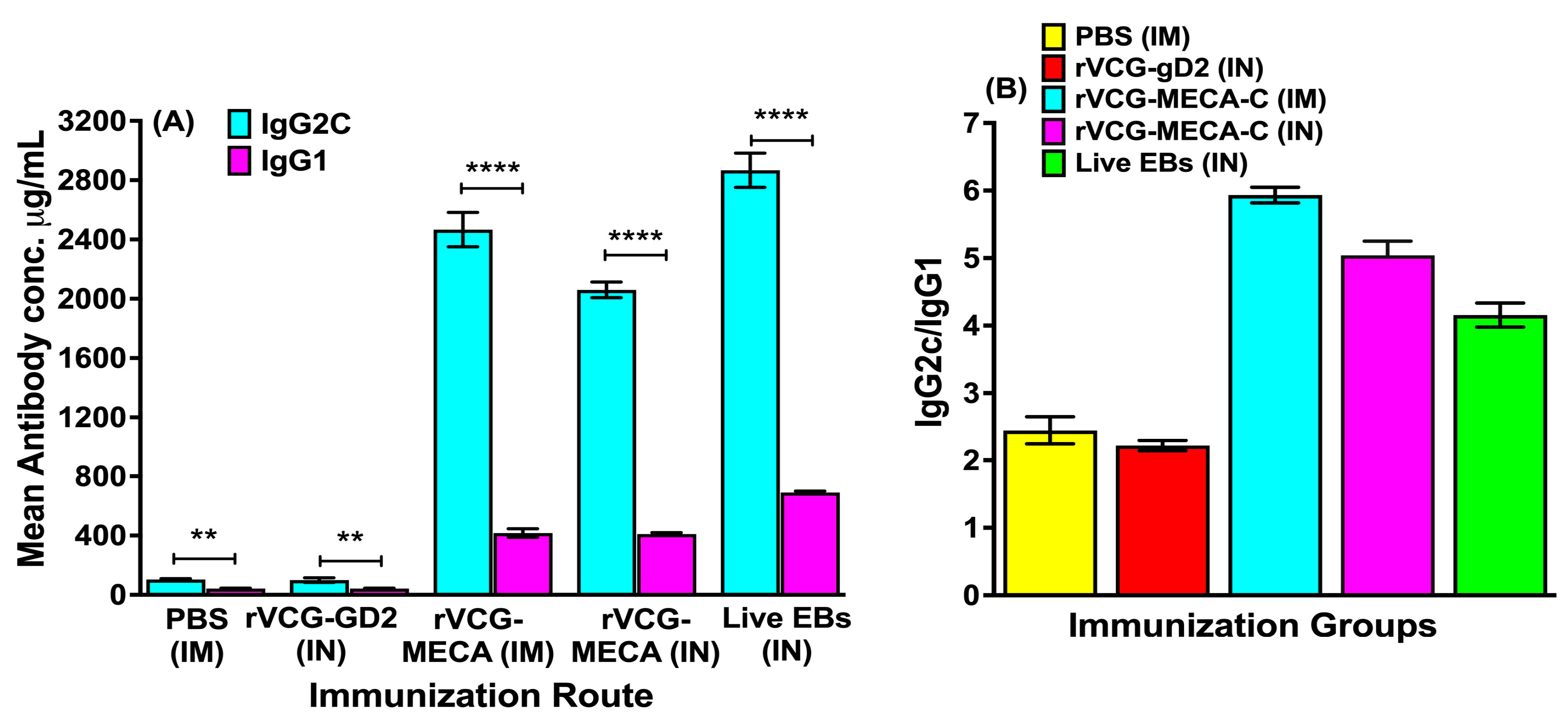 Biomedicines 13 00288 g004