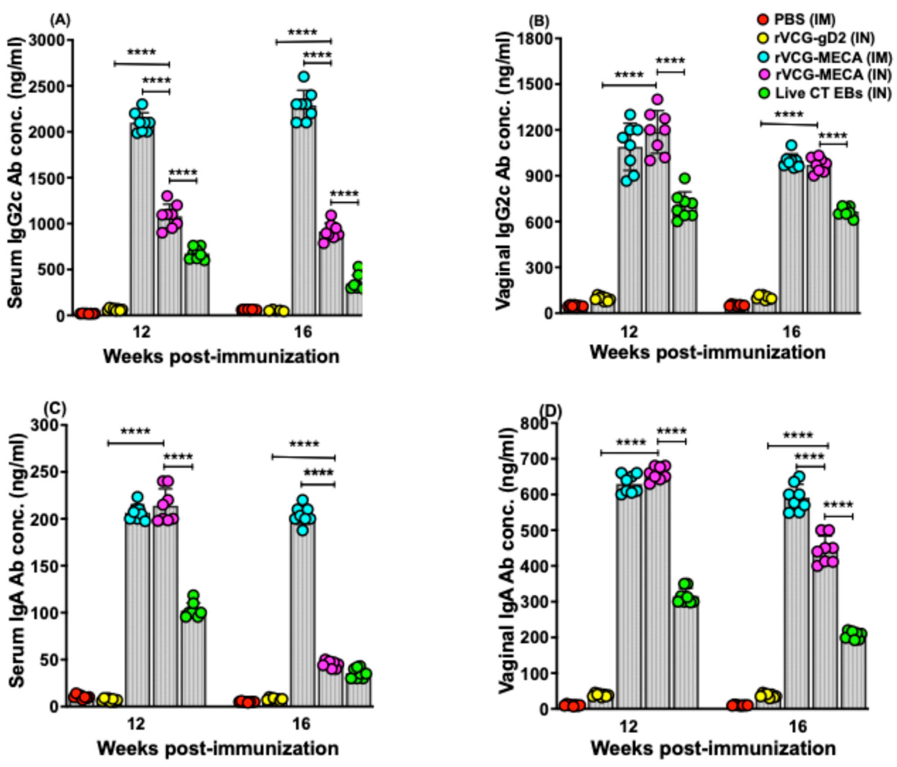 Biomedicines 13 00288 g005
