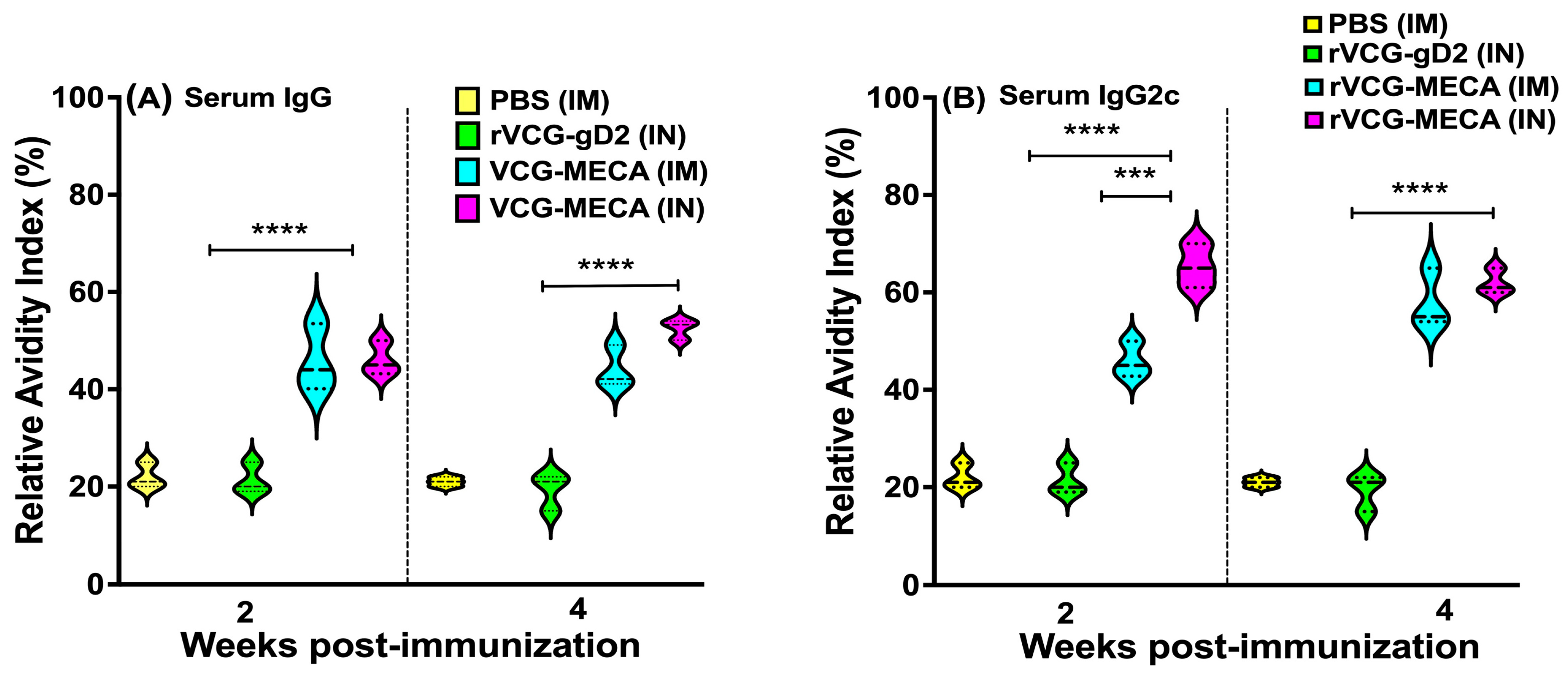 Biomedicines 13 00288 g006