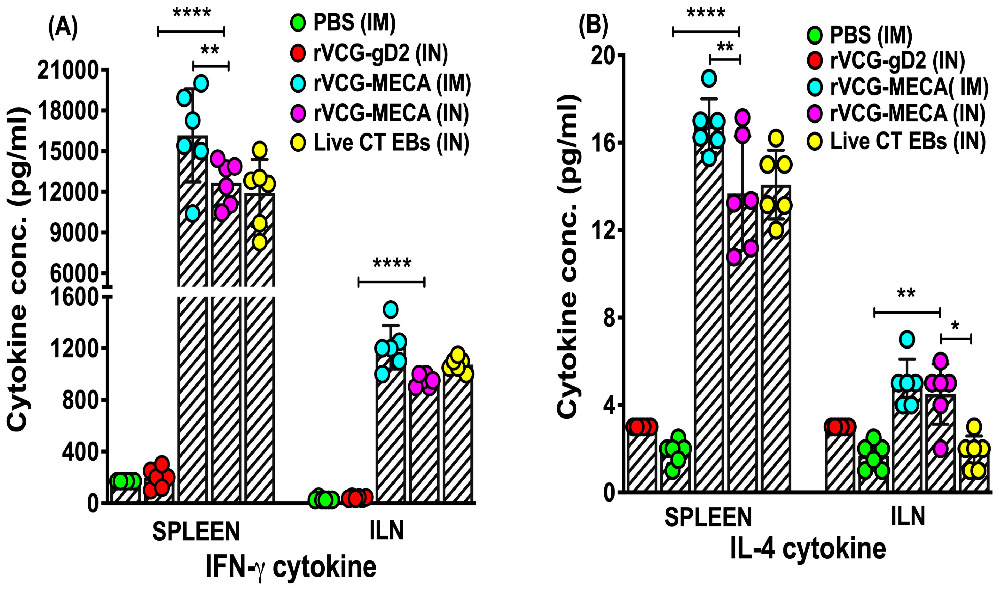 Biomedicines 13 00288 g007