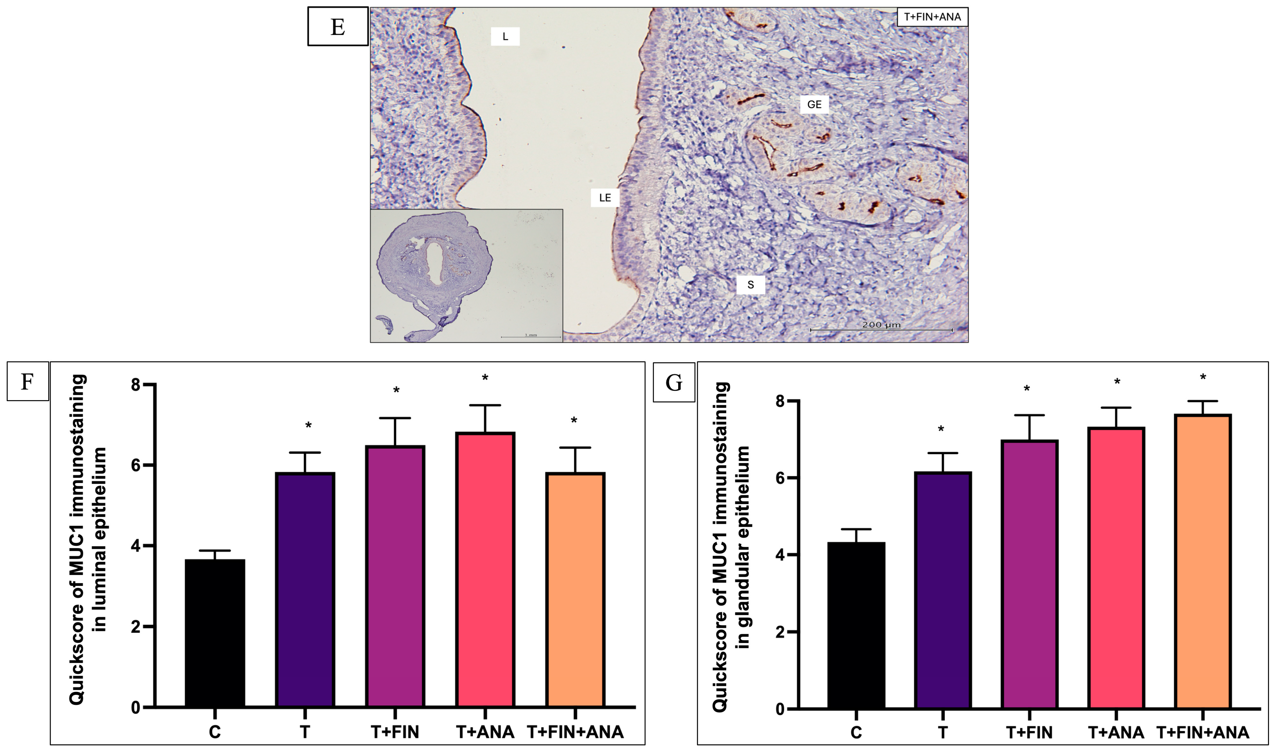 Biomedicines 13 00289 g009b