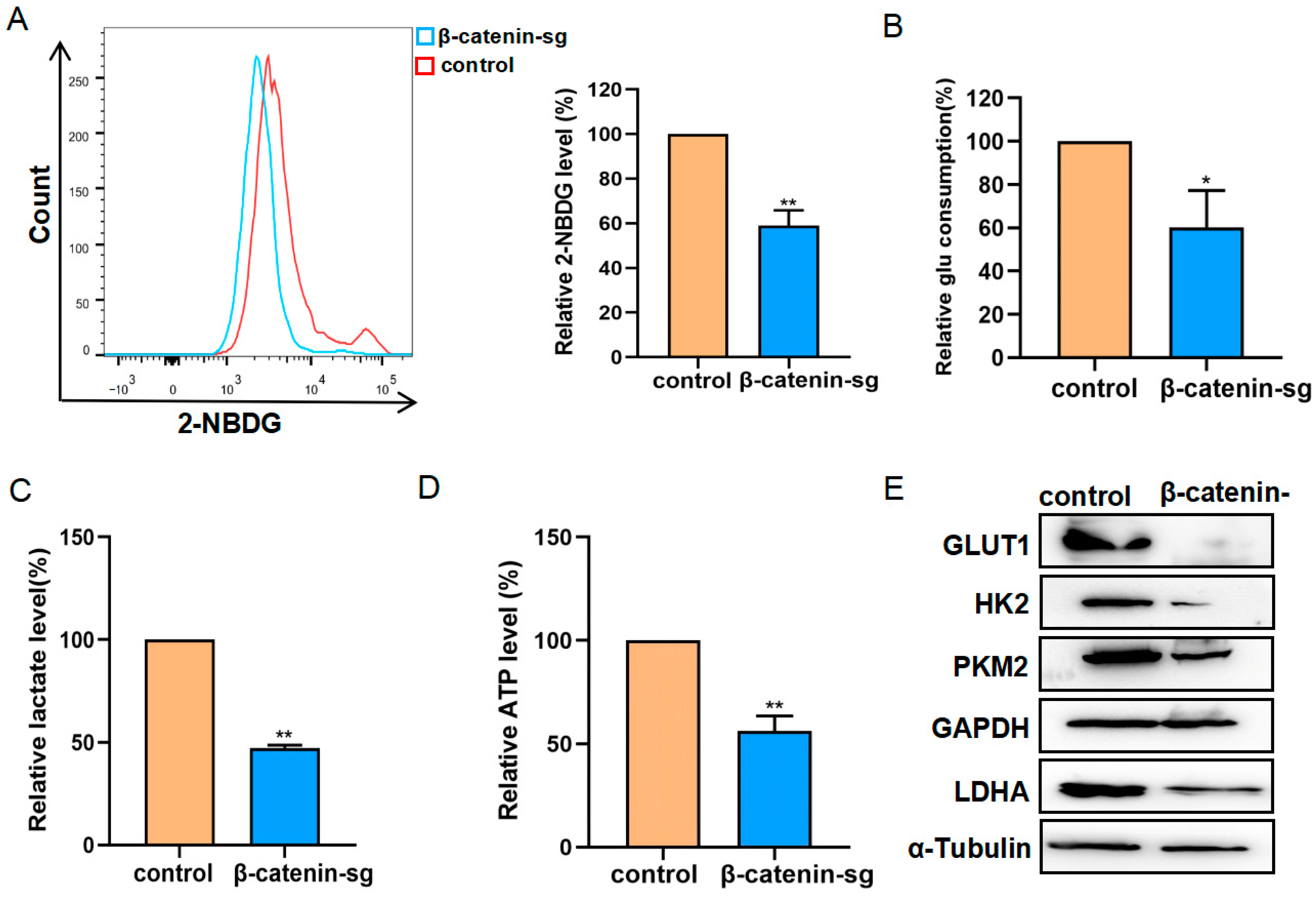Biomedicines 13 00292 g003