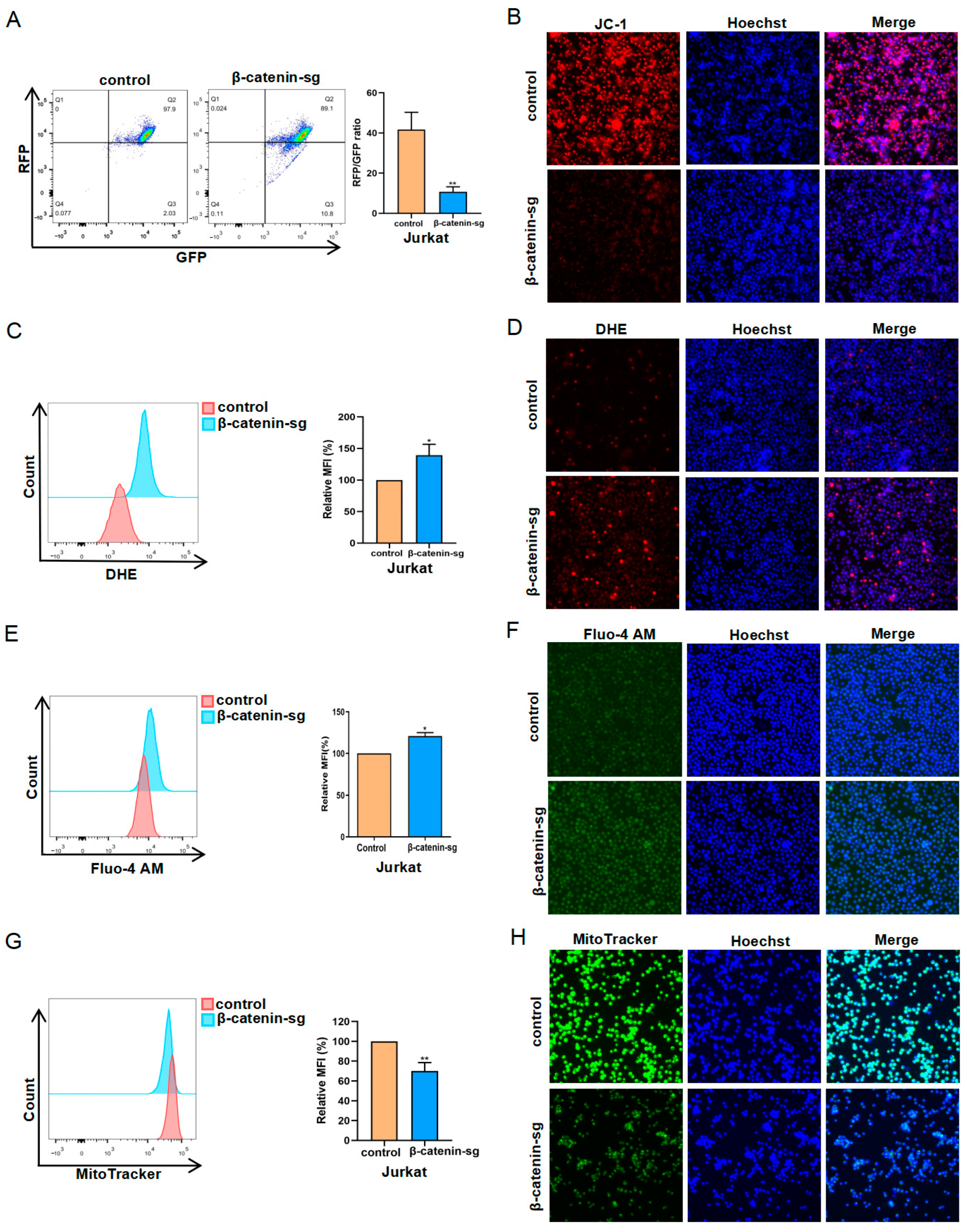 Biomedicines 13 00292 g004