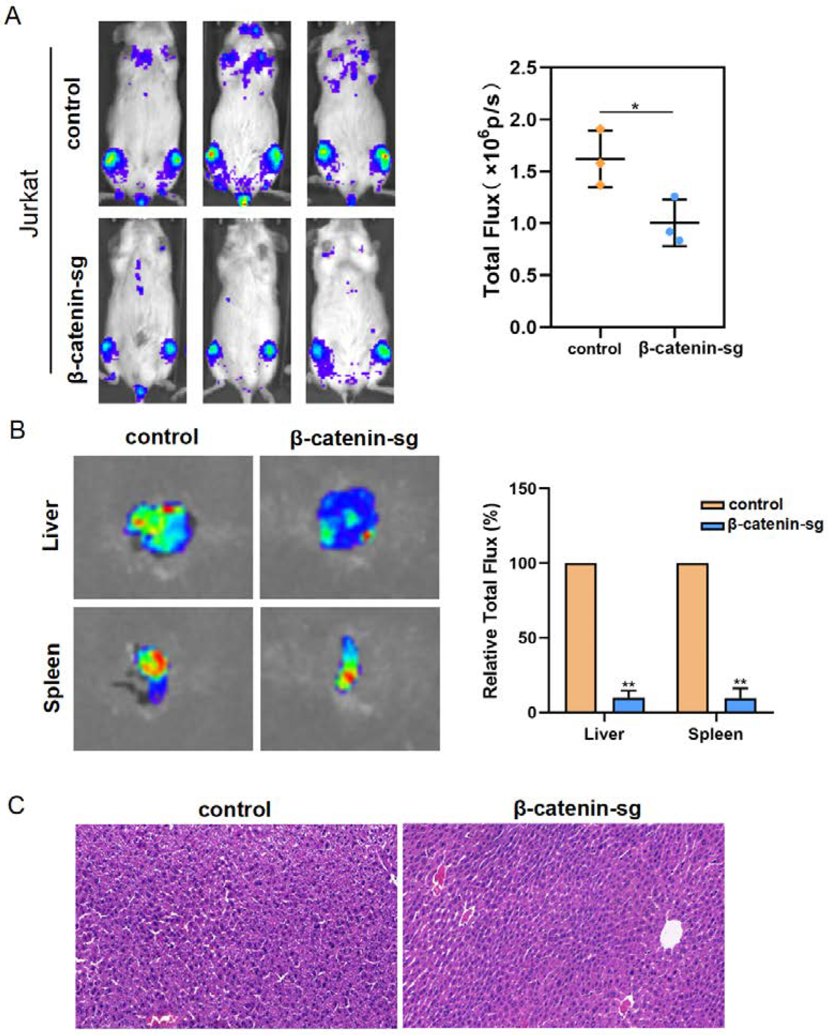 Biomedicines 13 00292 g005