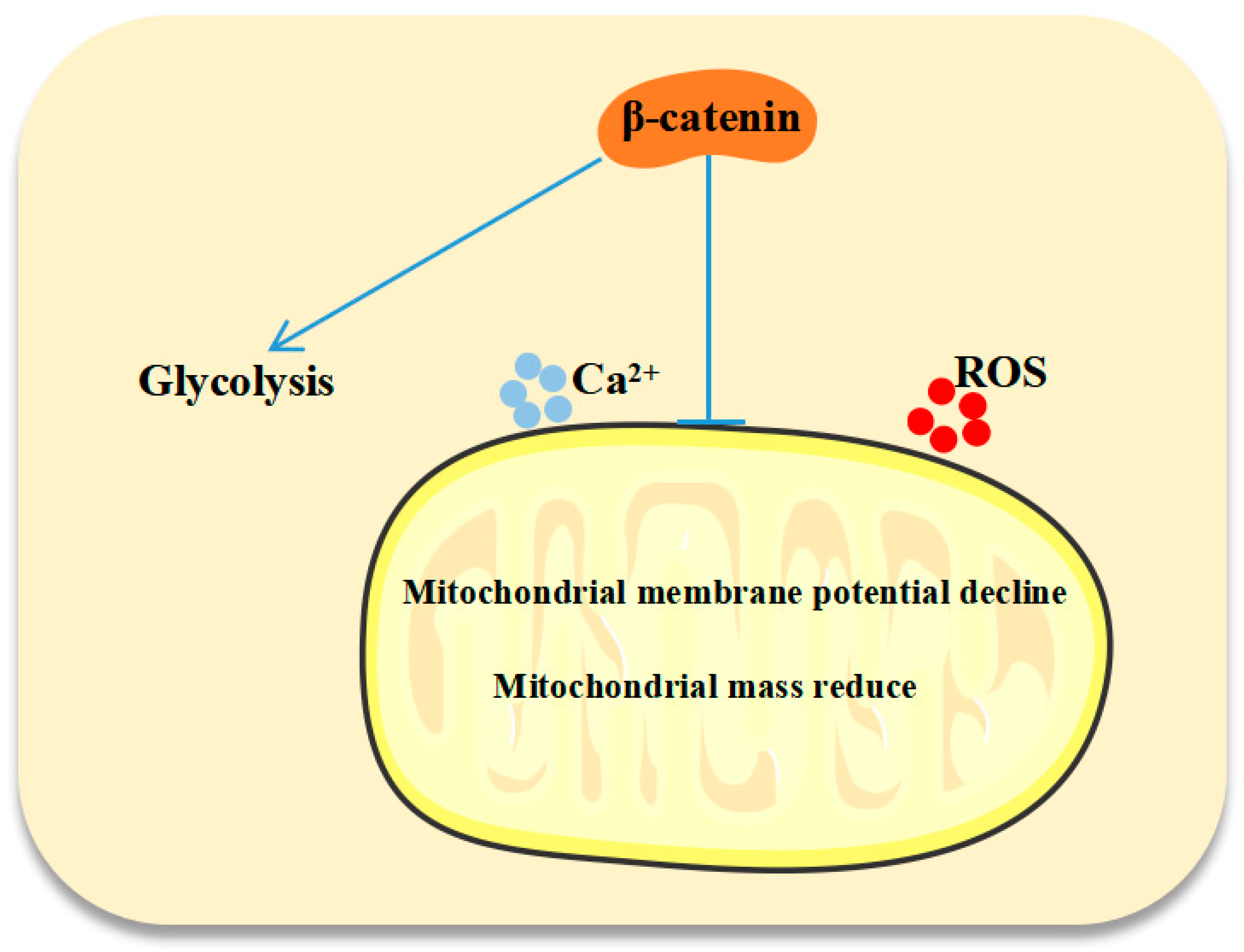 Biomedicines 13 00292 g006