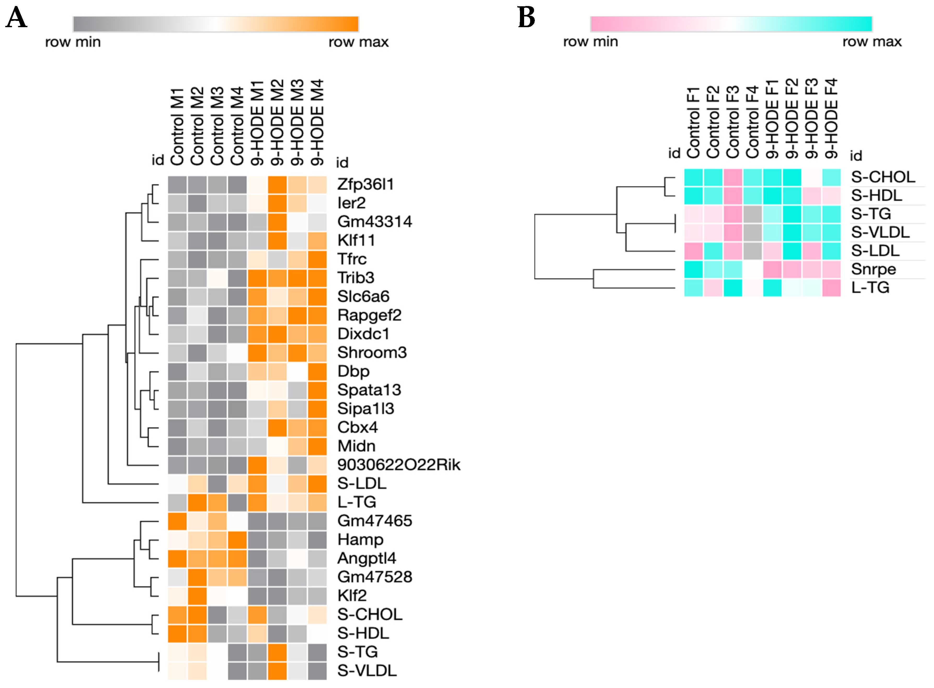 Biomedicines 13 00295 g002
