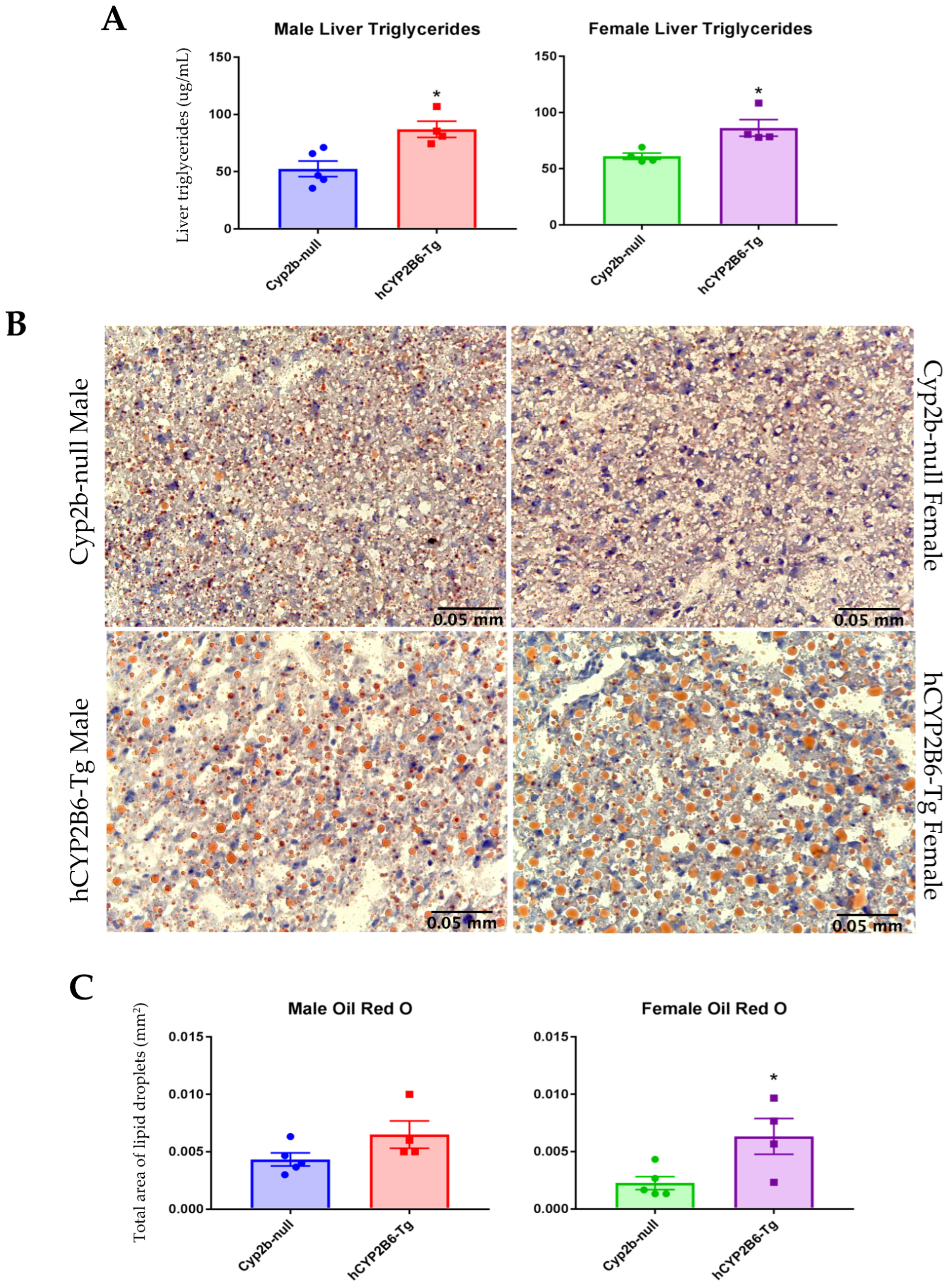 Biomedicines 13 00295 g004