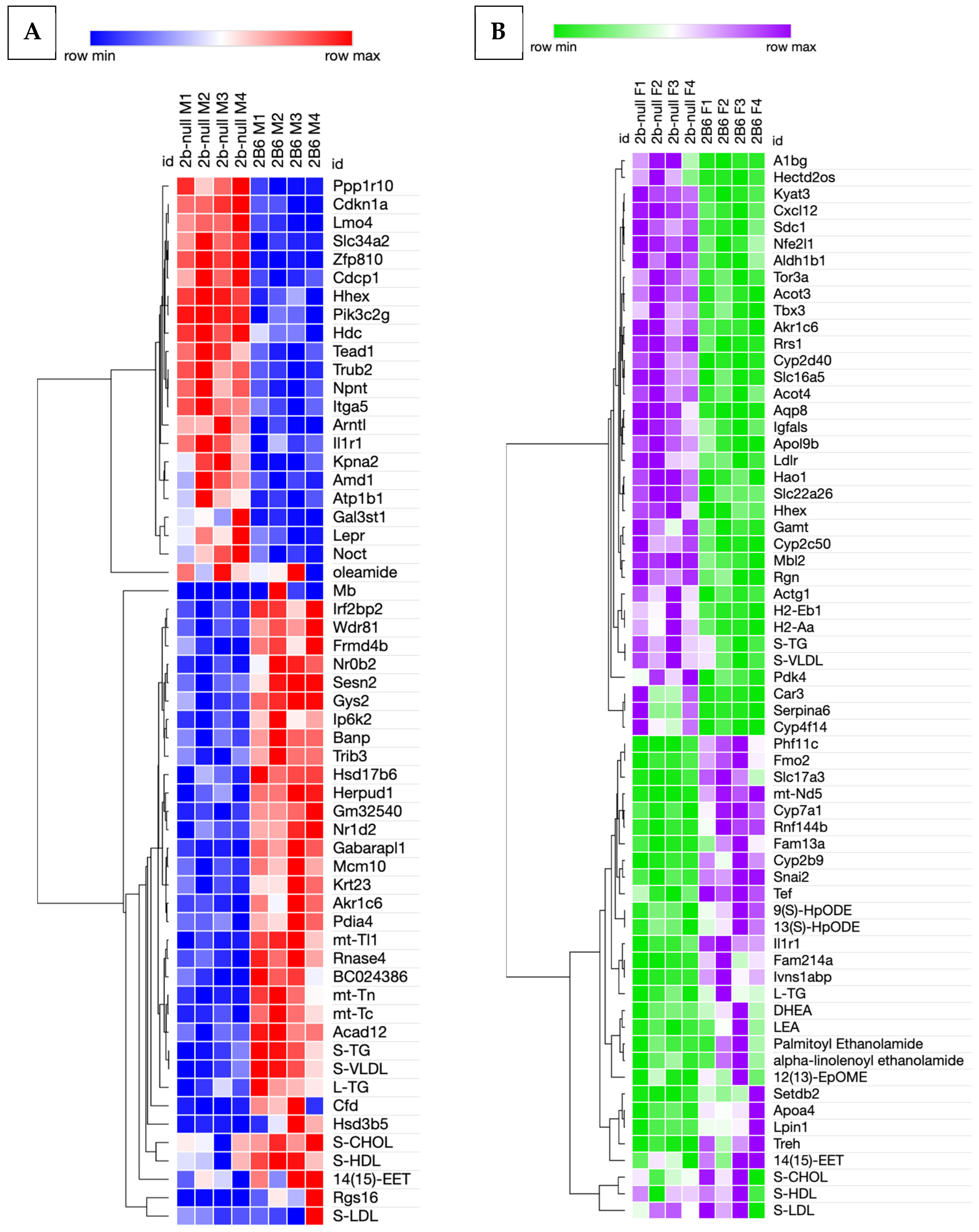 Biomedicines 13 00295 g008