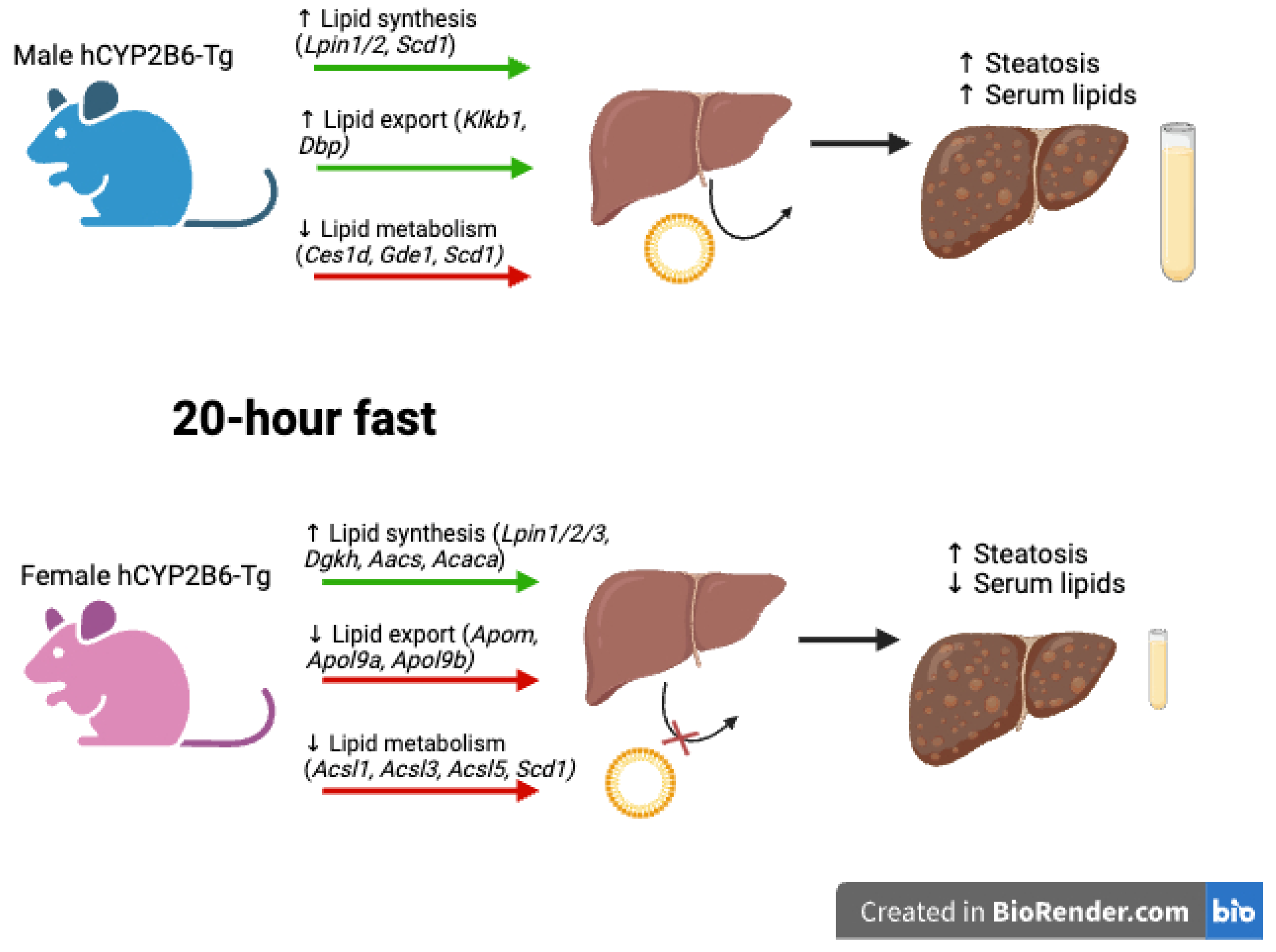 Biomedicines 13 00295 g009