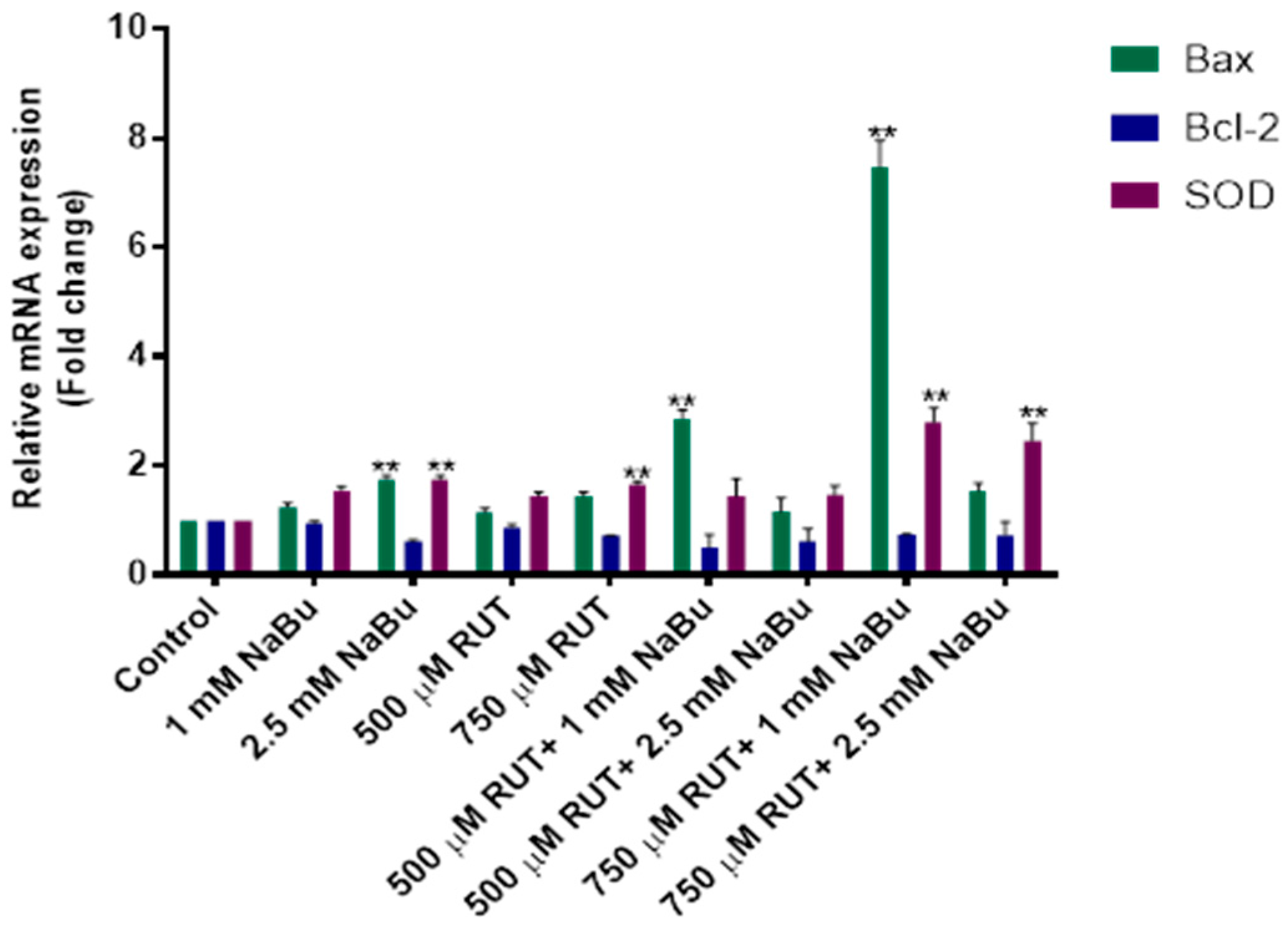 Biomedicines 13 00296 g004 Biomedicines 13 00296 g004