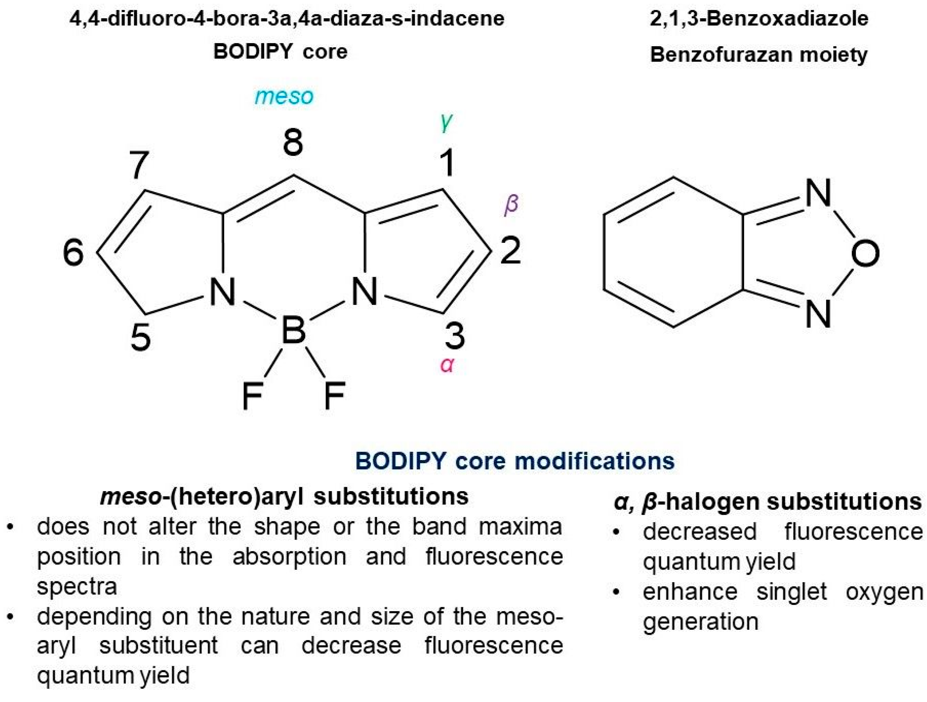Biomedicines 13 00297 g001
