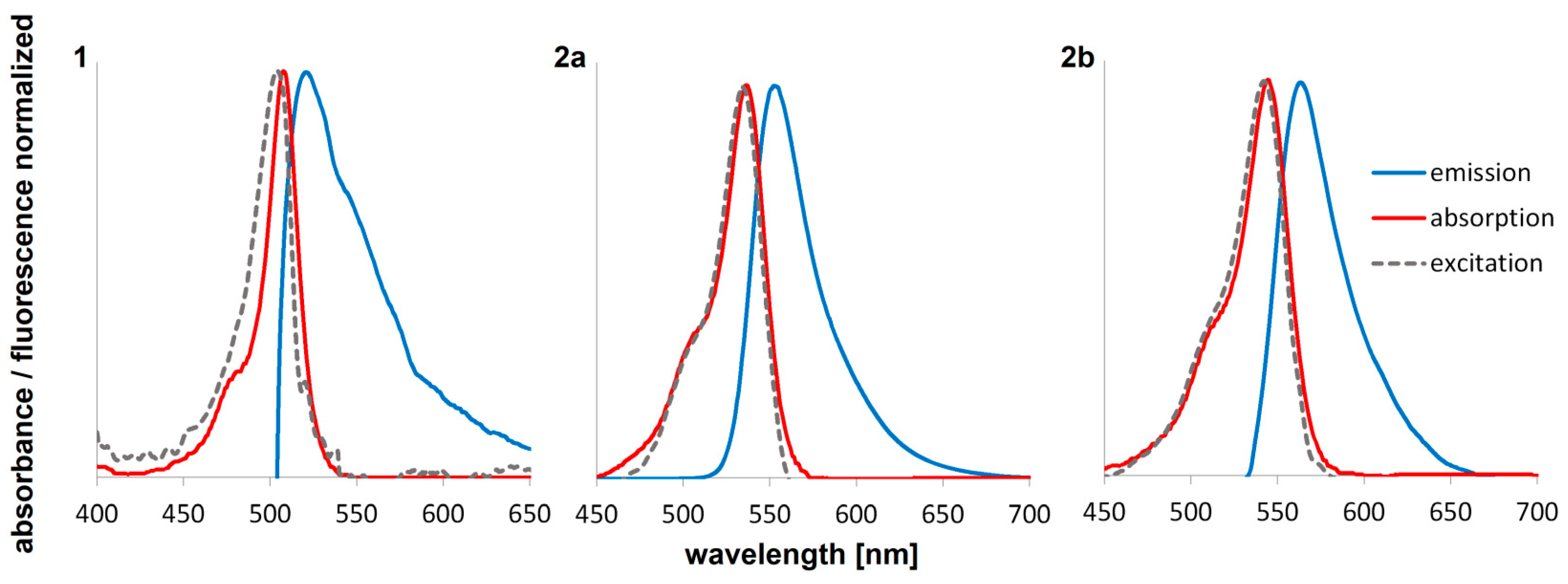 Biomedicines 13 00297 g003