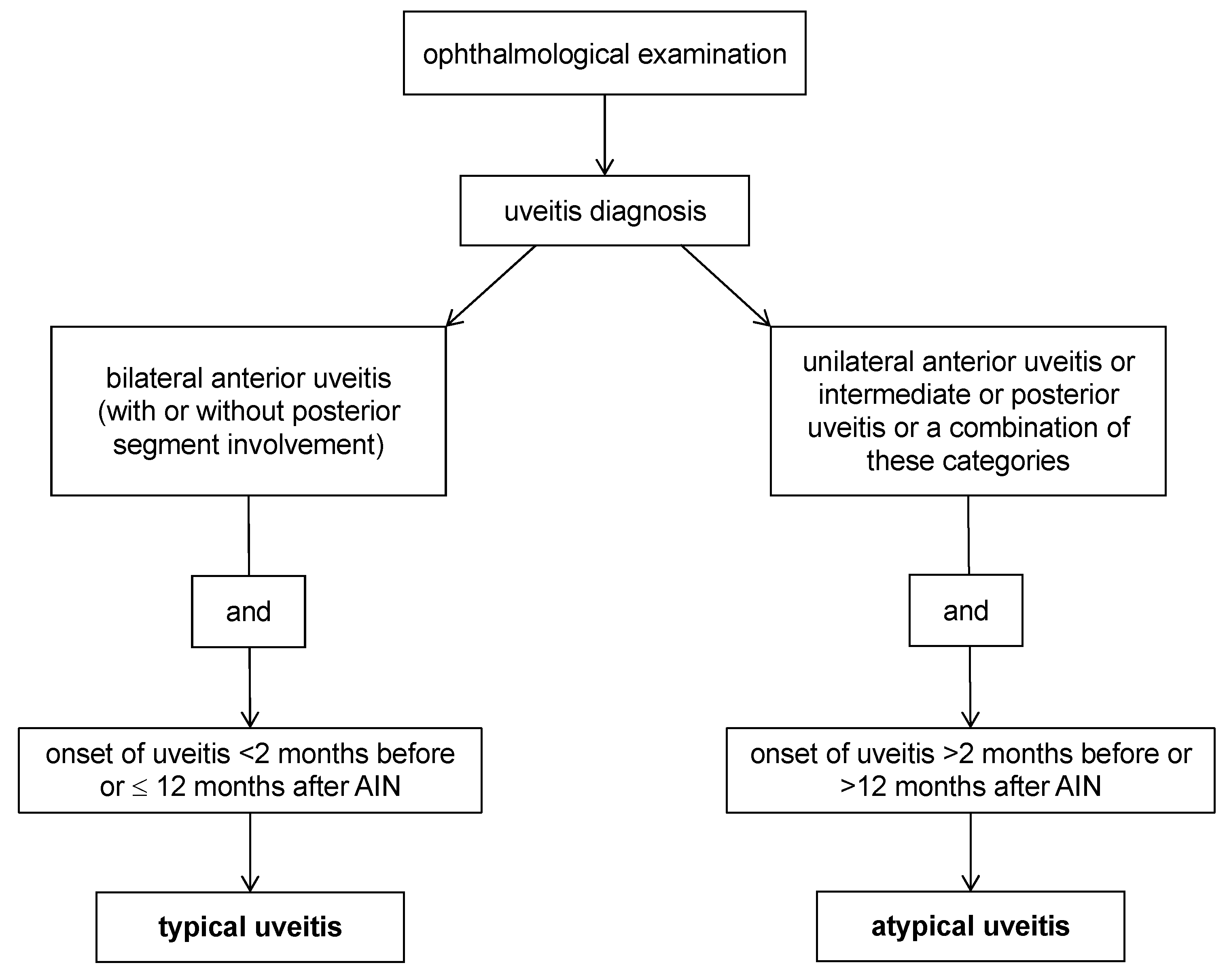 Biomedicines 13 00300 g003
