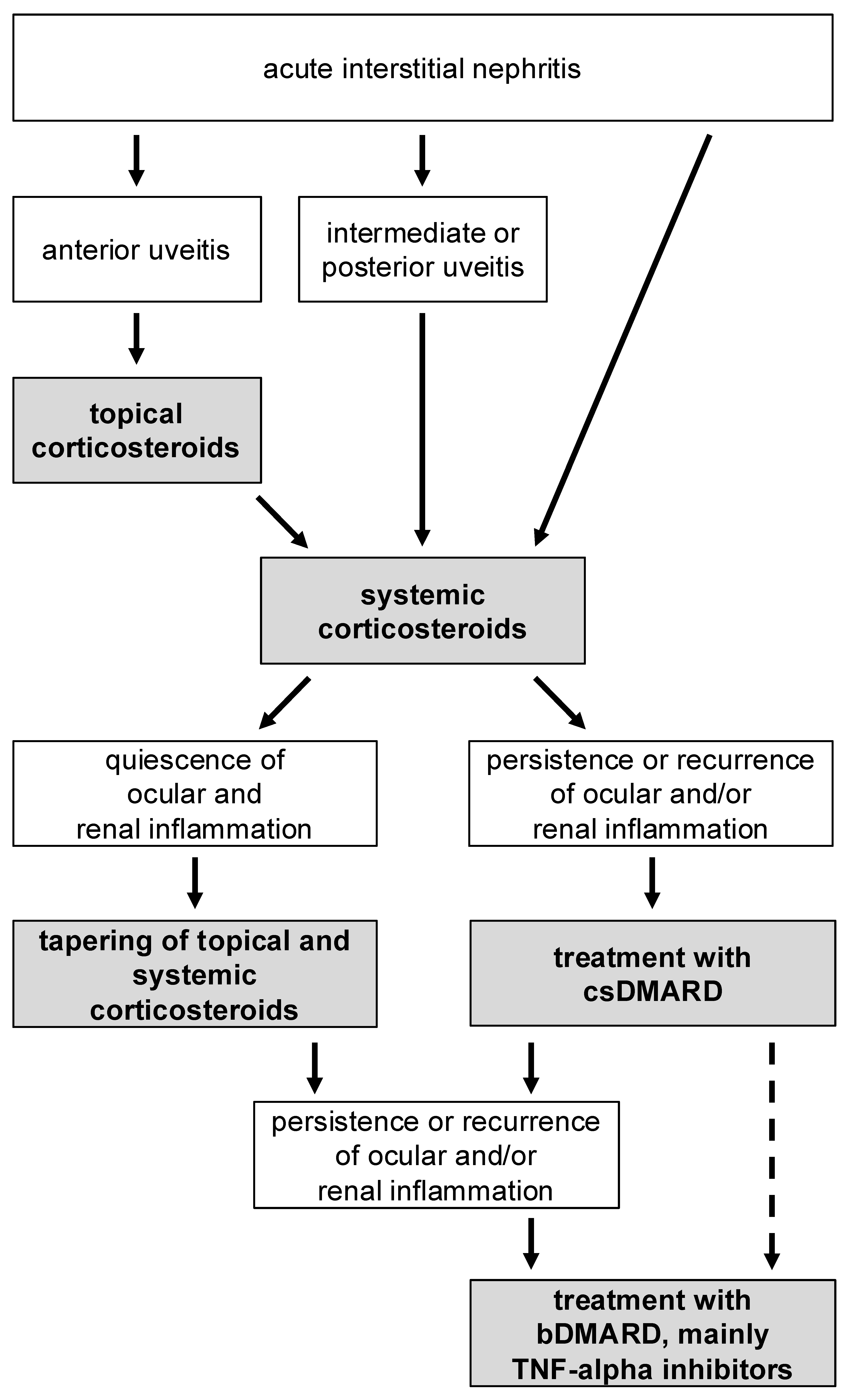 Biomedicines 13 00300 g004