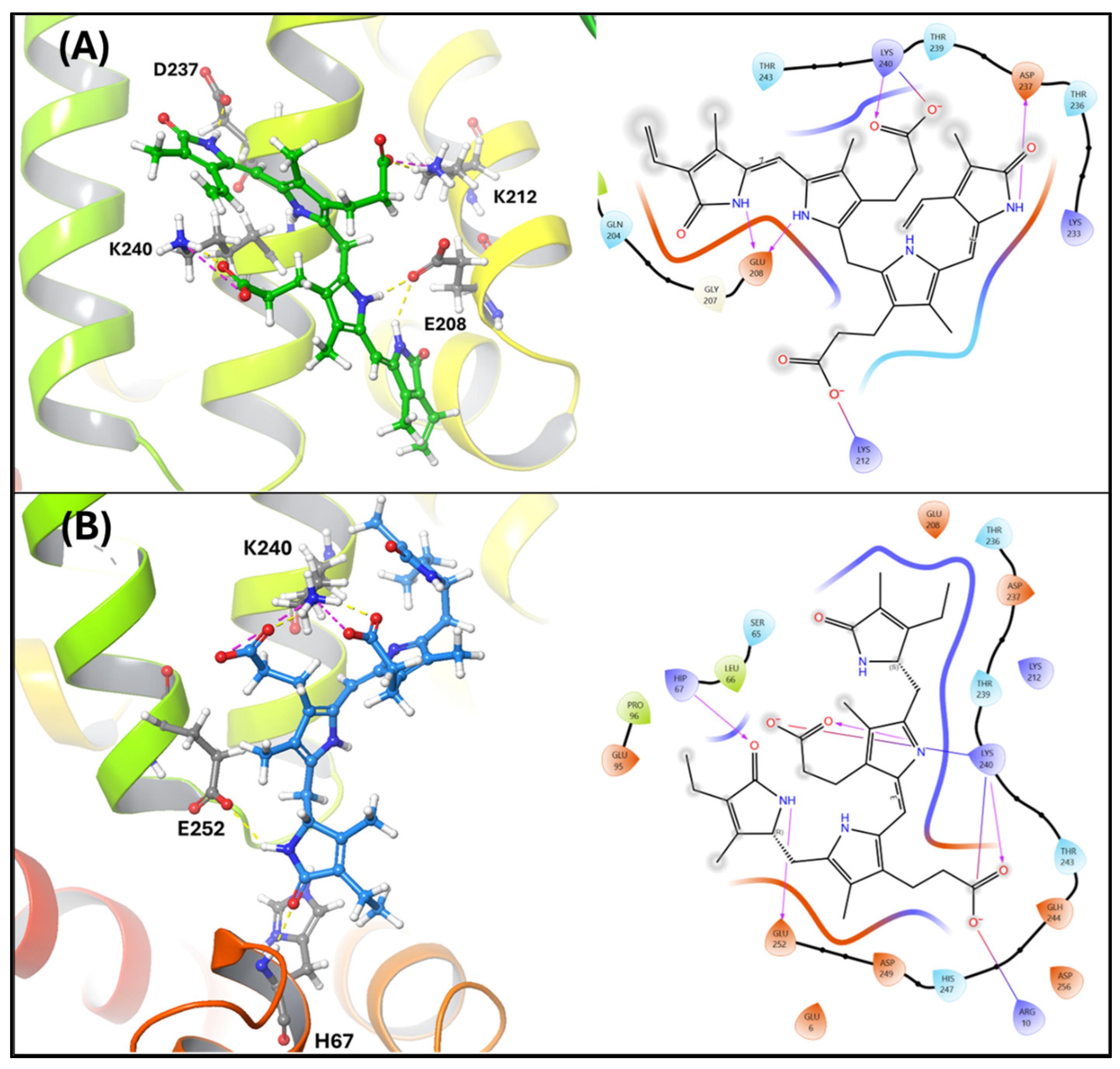 Biomedicines 13 00302 g002