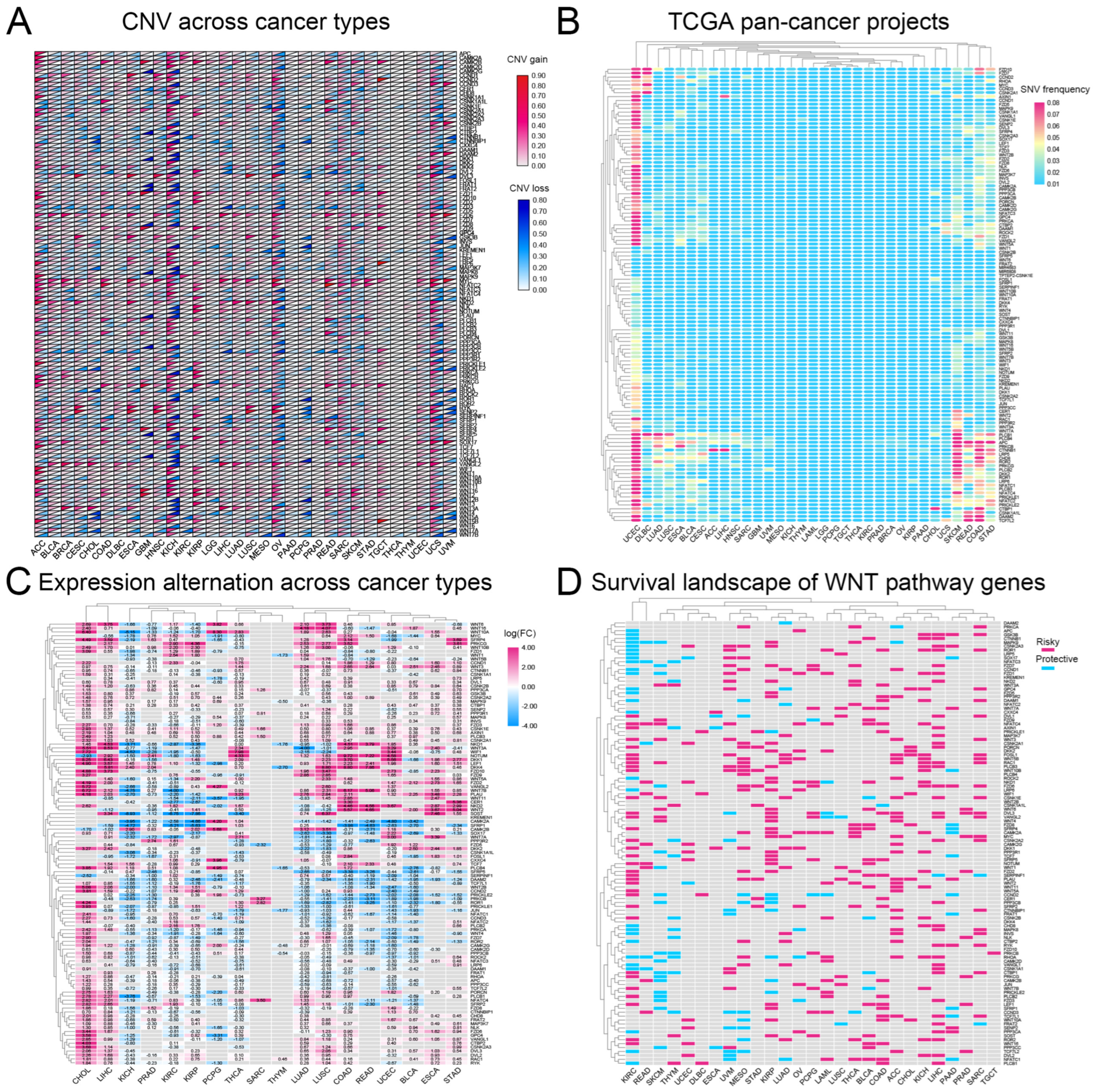 Biomedicines 13 00304 g001