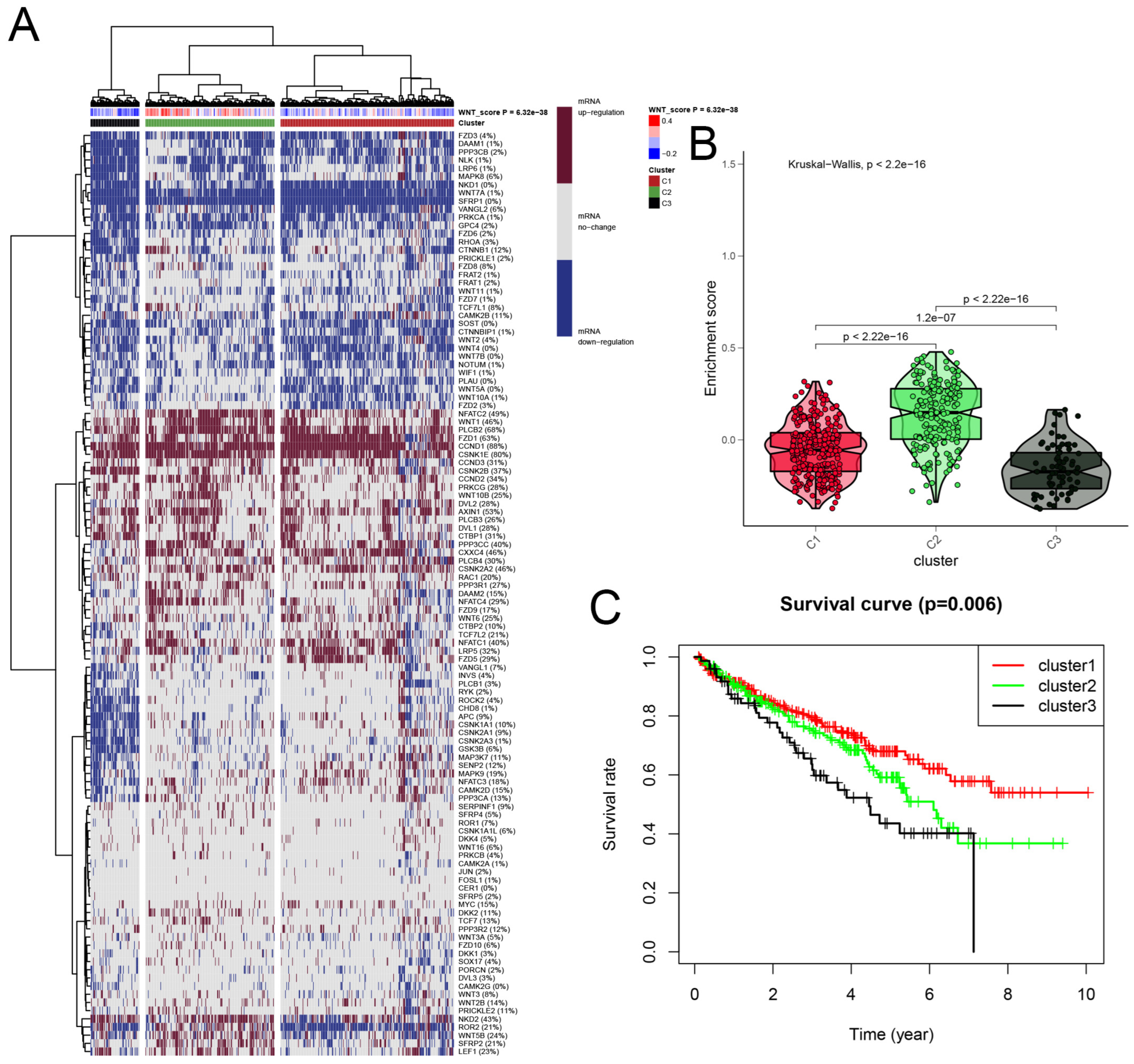 Biomedicines 13 00304 g002