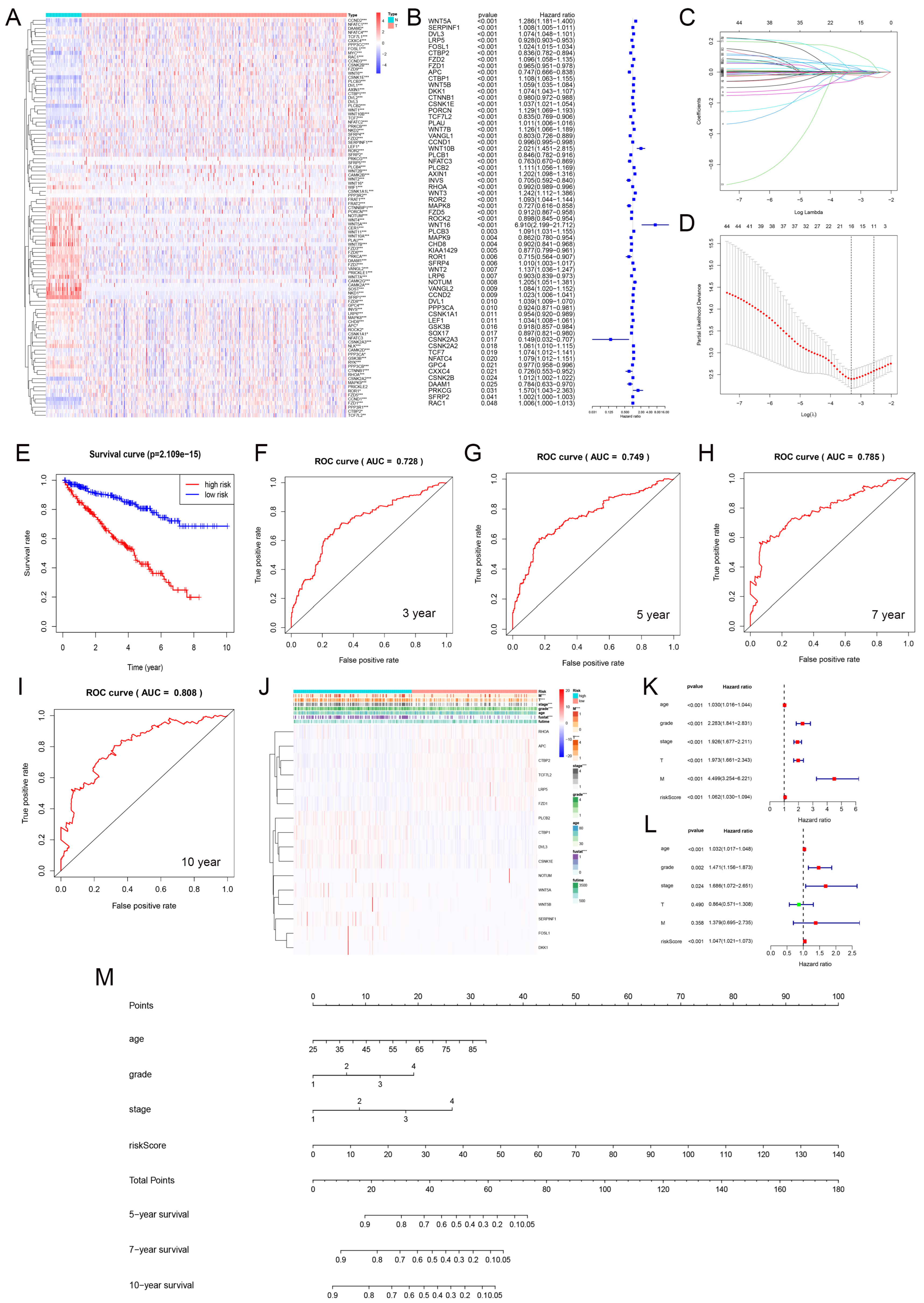 Biomedicines 13 00304 g006