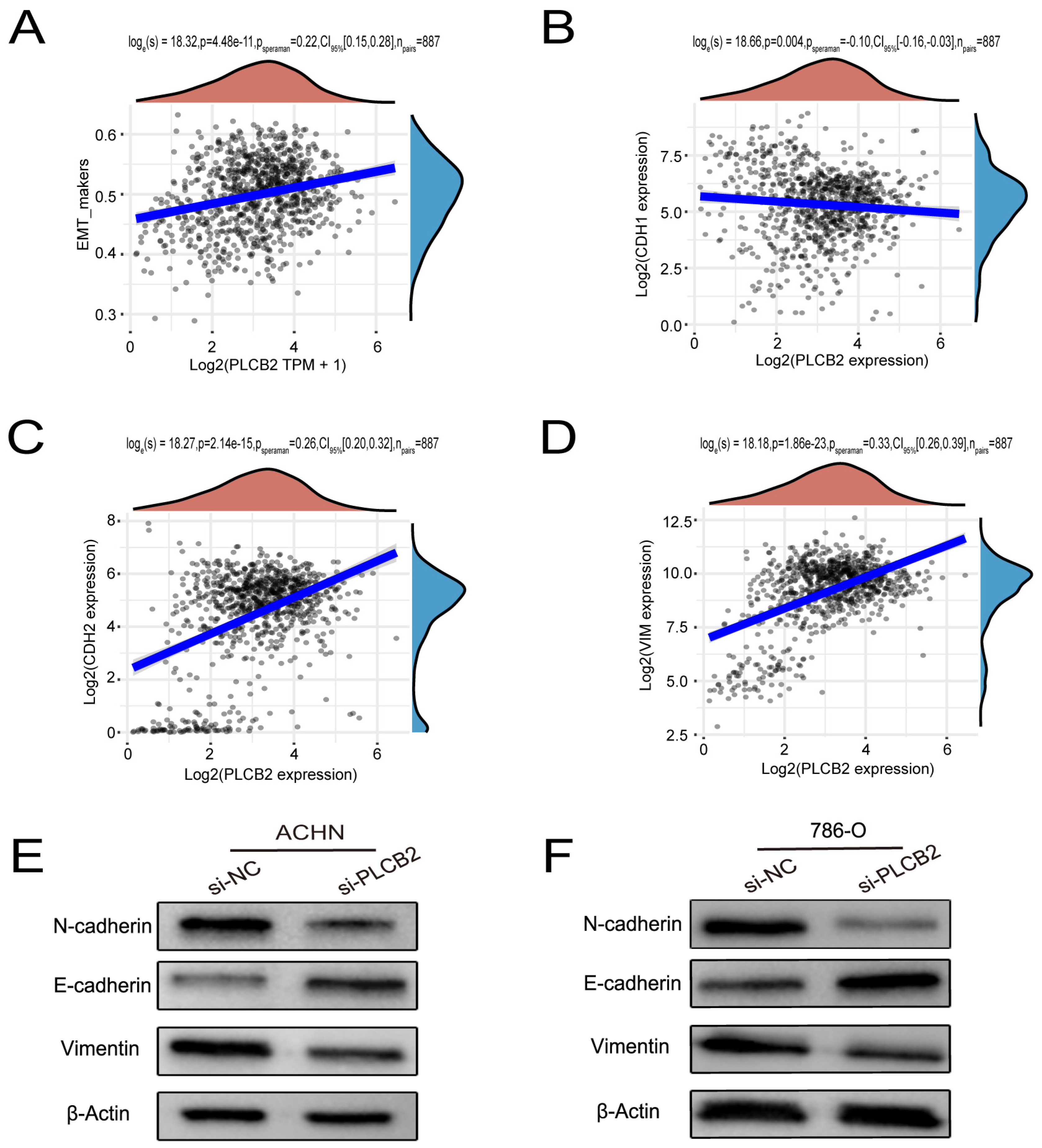 Biomedicines 13 00304 g009
