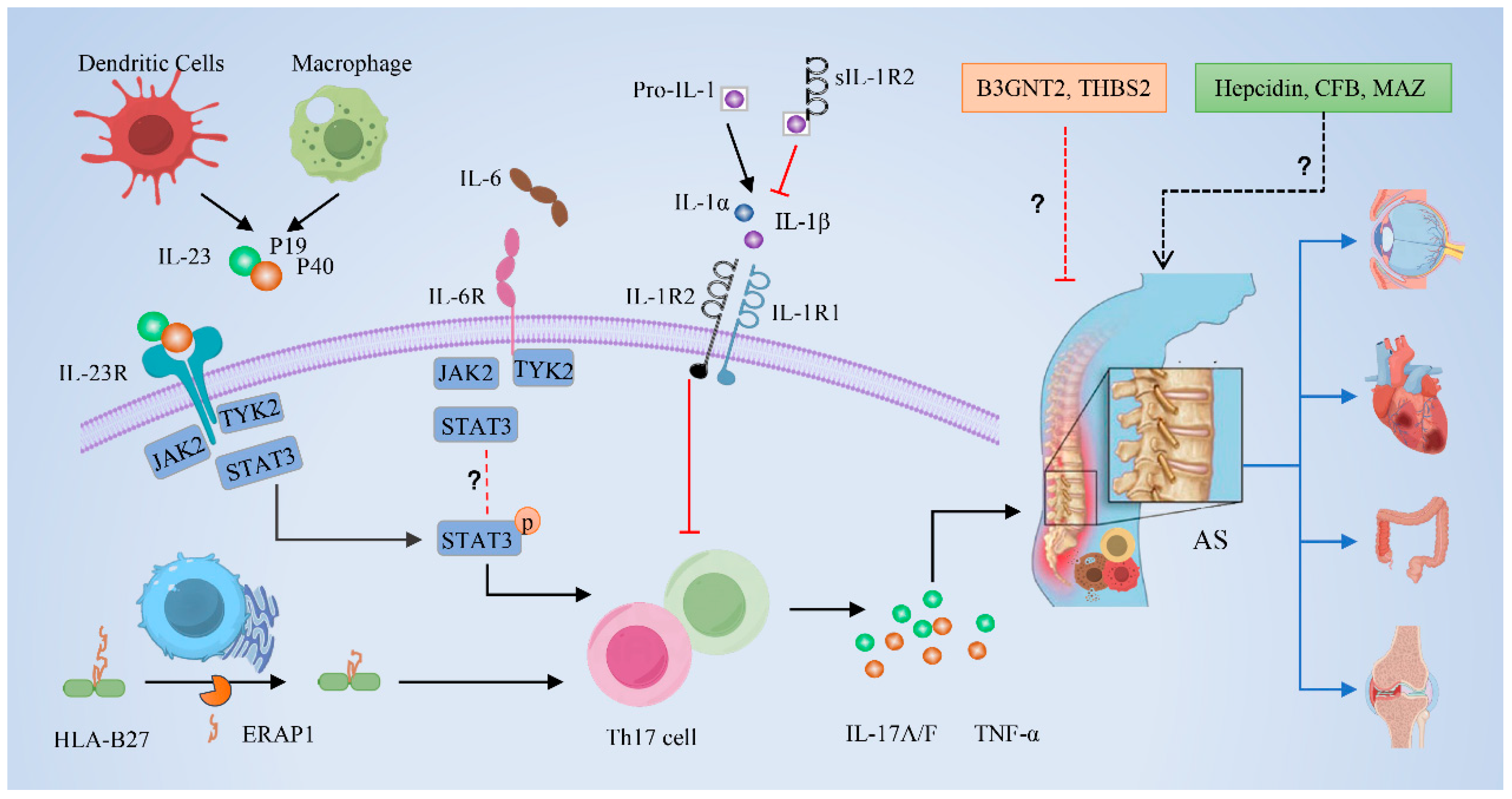 Biomedicines 13 00306 g005