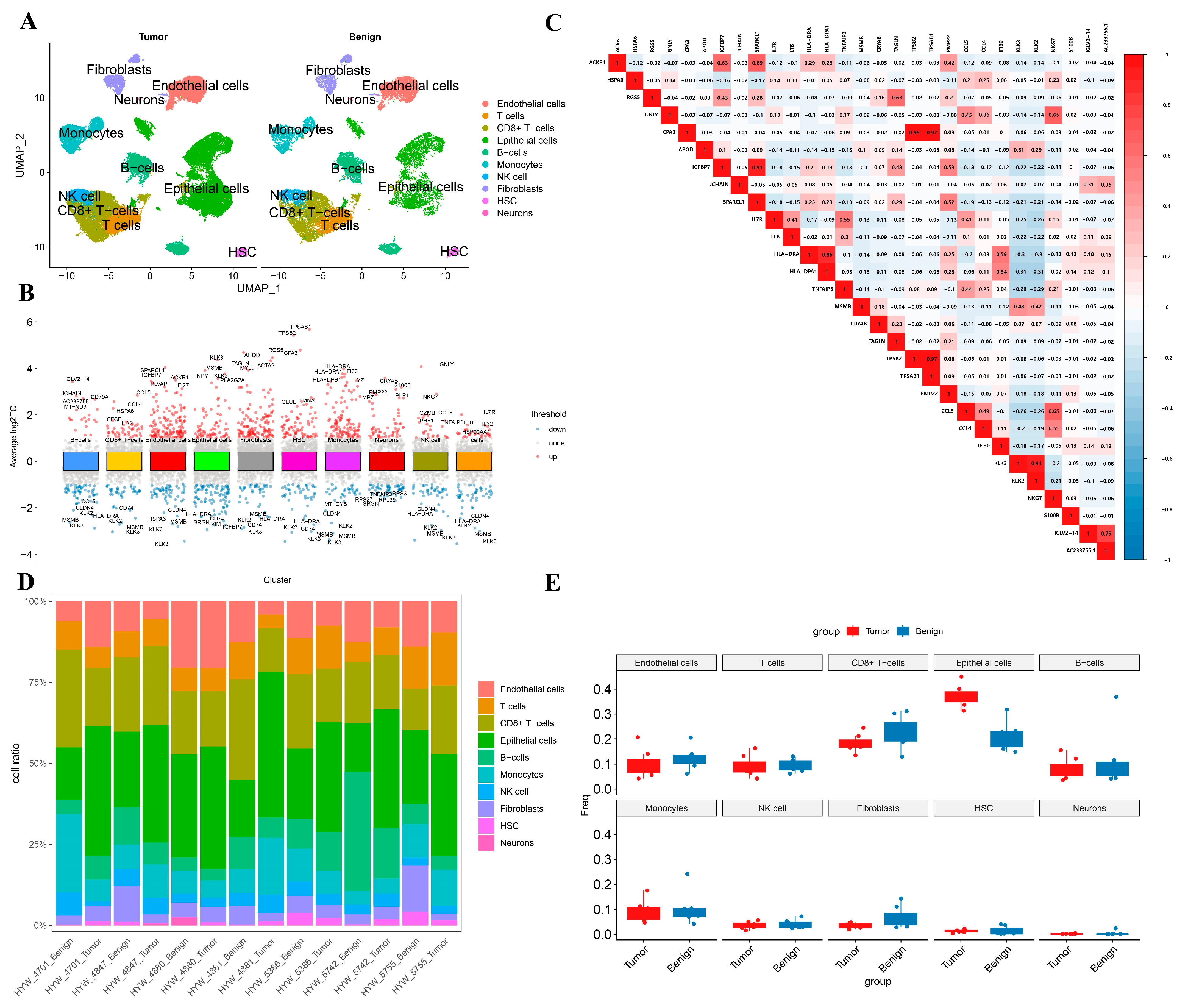Biomedicines 13 00311 g001 Biomedicines 13 00311 g001