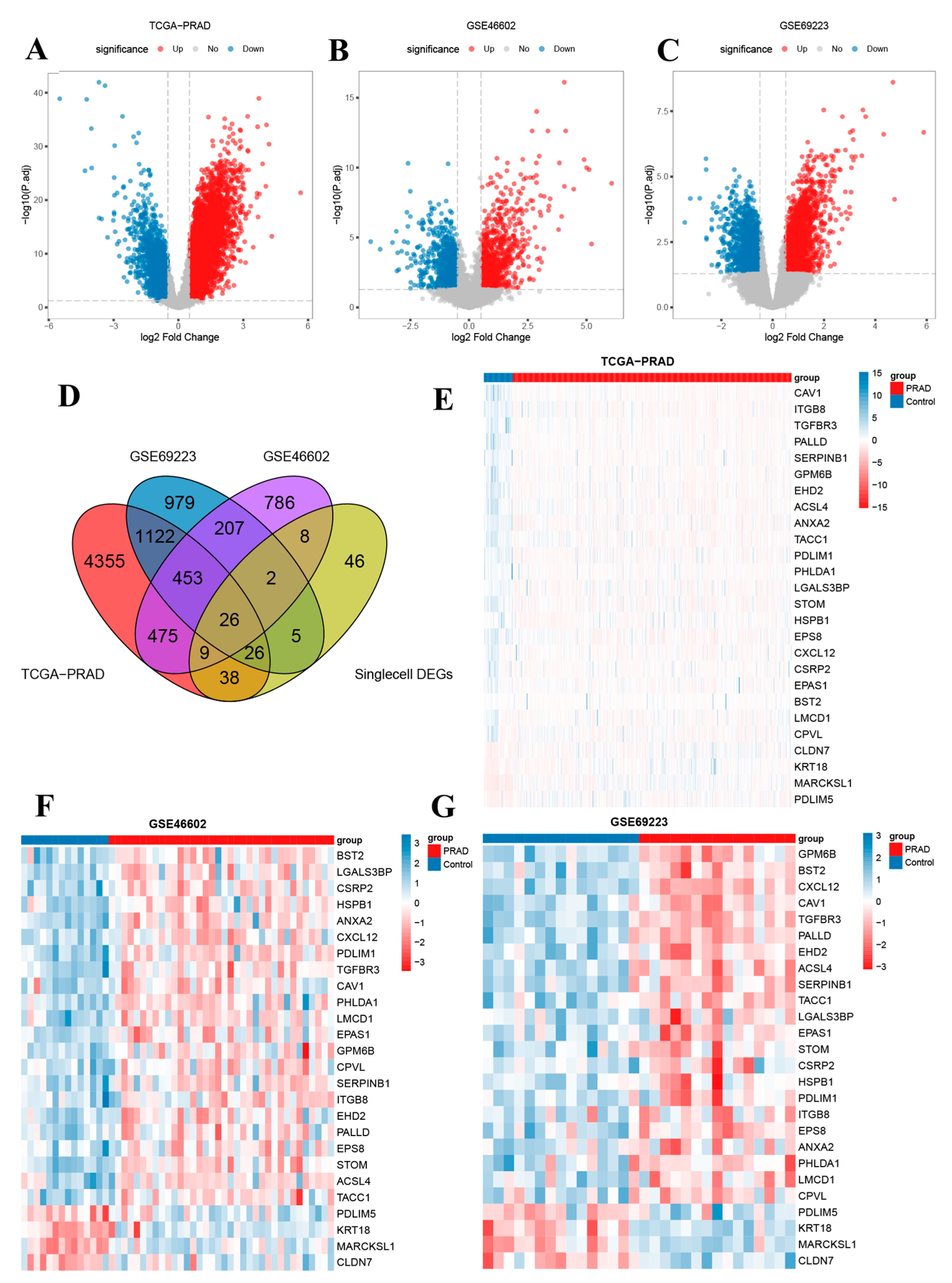 Biomedicines 13 00311 g004 Biomedicines 13 00311 g004