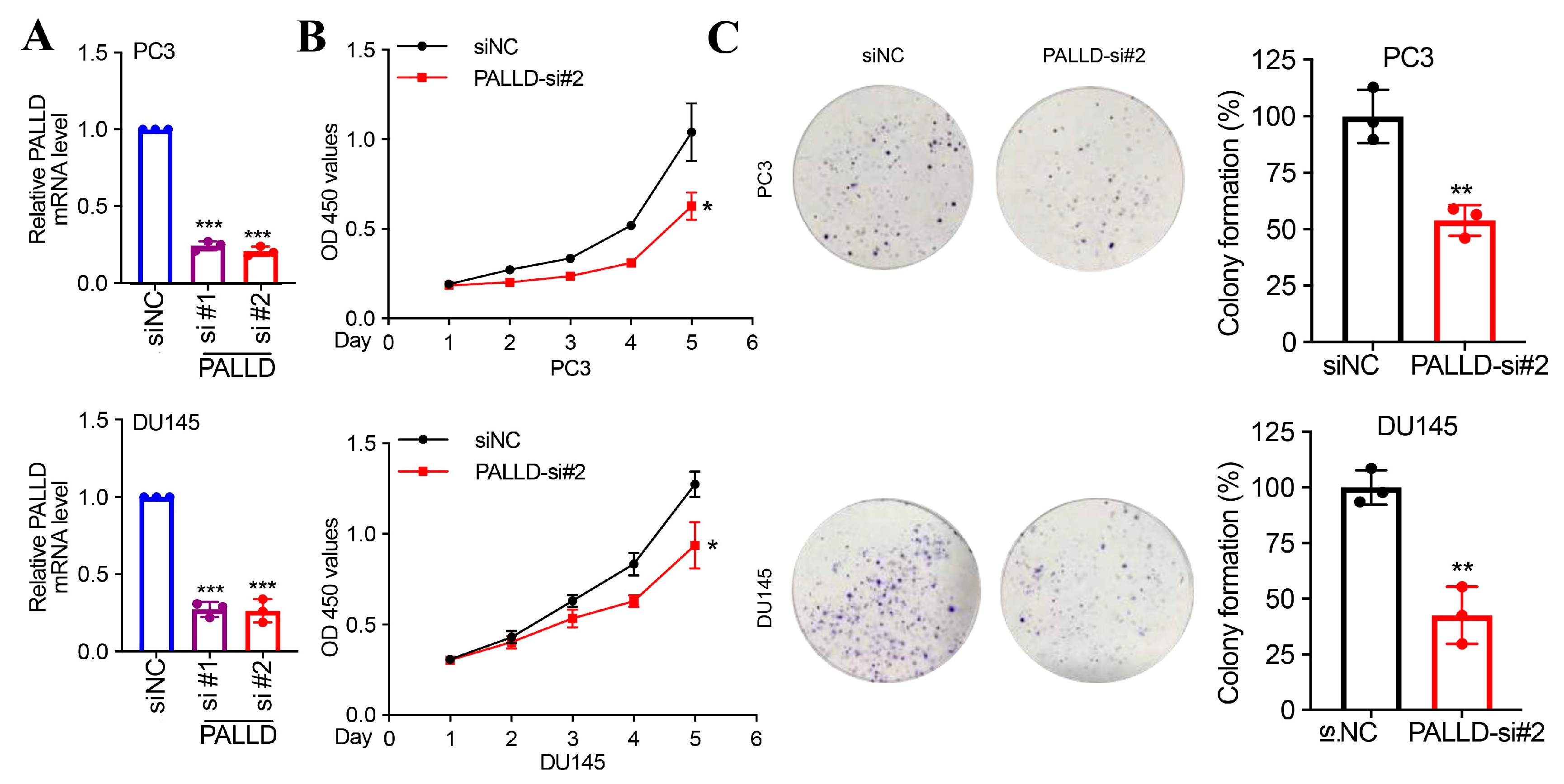 Biomedicines 13 00311 g007 Biomedicines 13 00311 g007