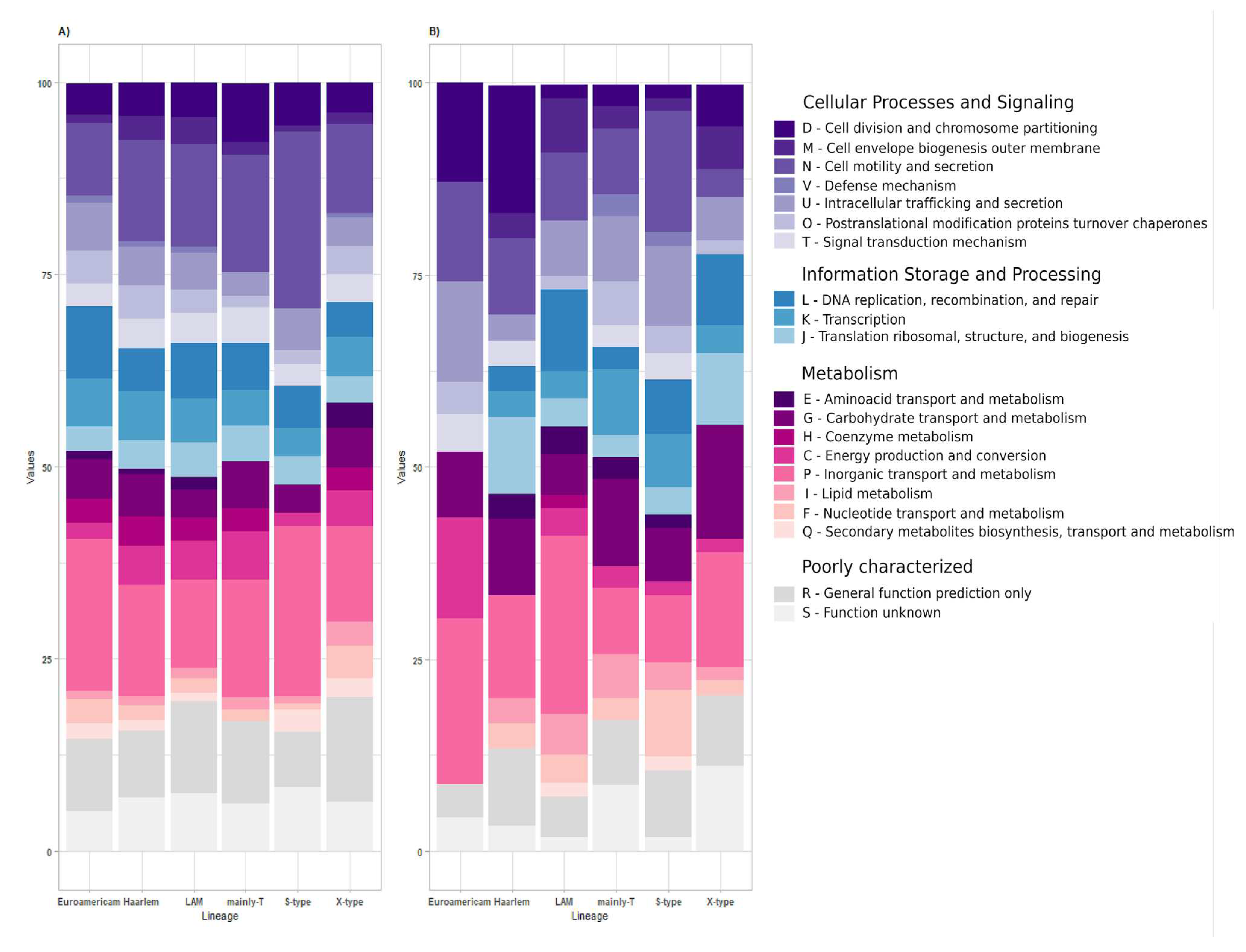 Biomedicines 13 00313 g003