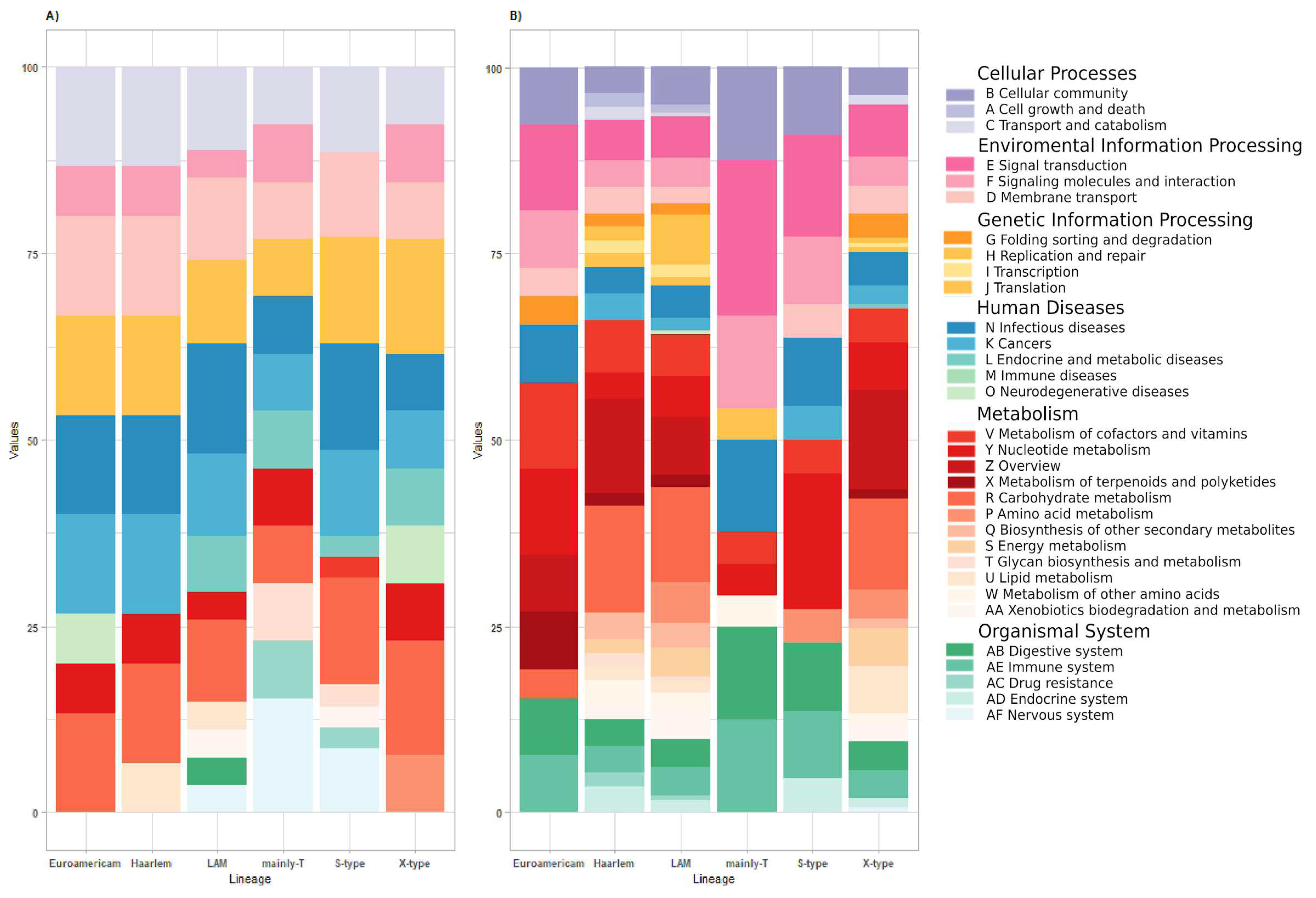 Biomedicines 13 00313 g005
