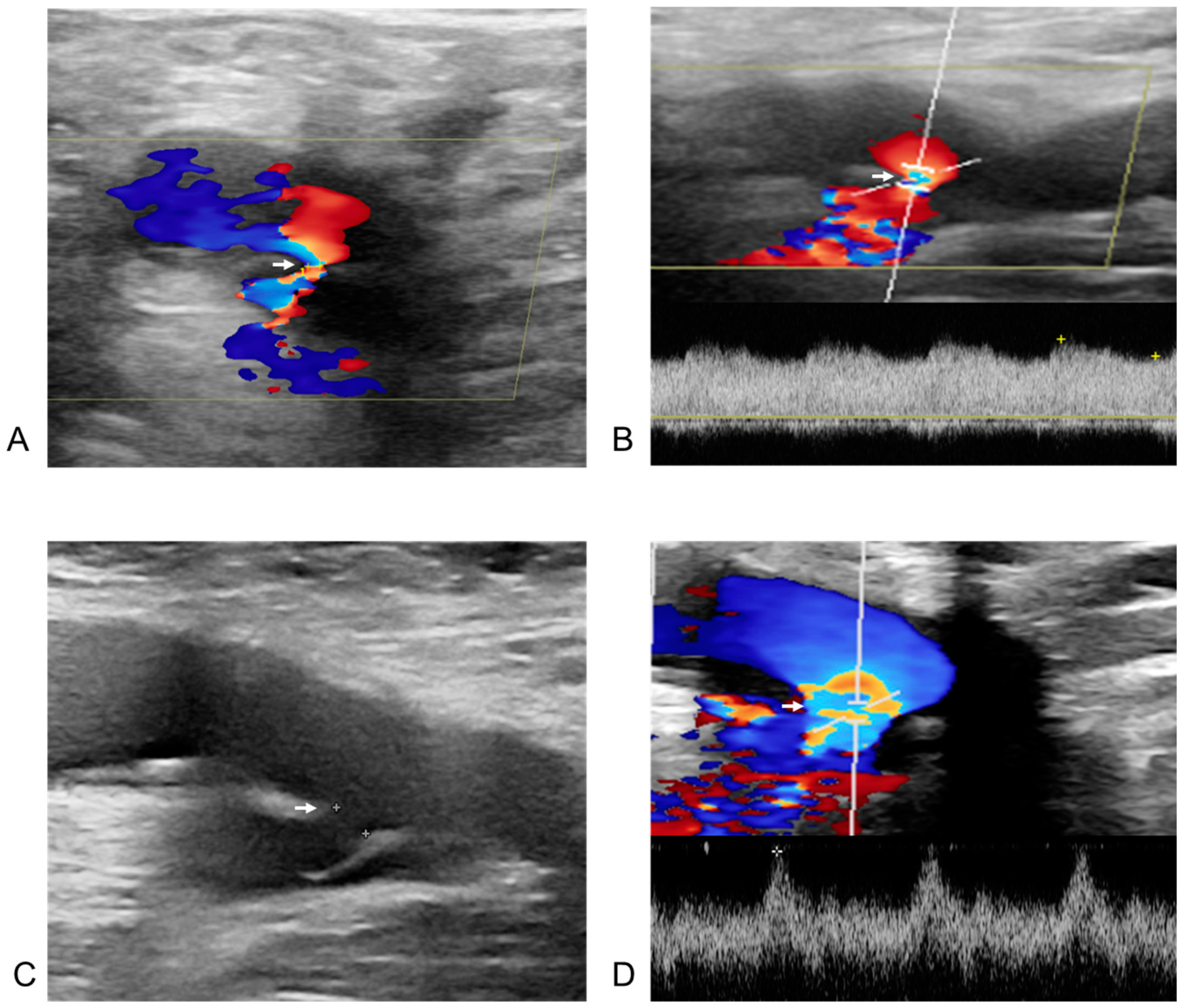Biomedicines 13 00314 g004
