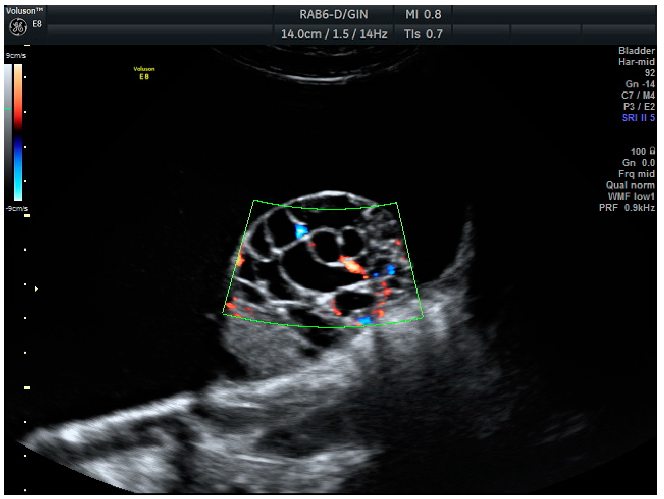 Biomedicines 13 00317 g001