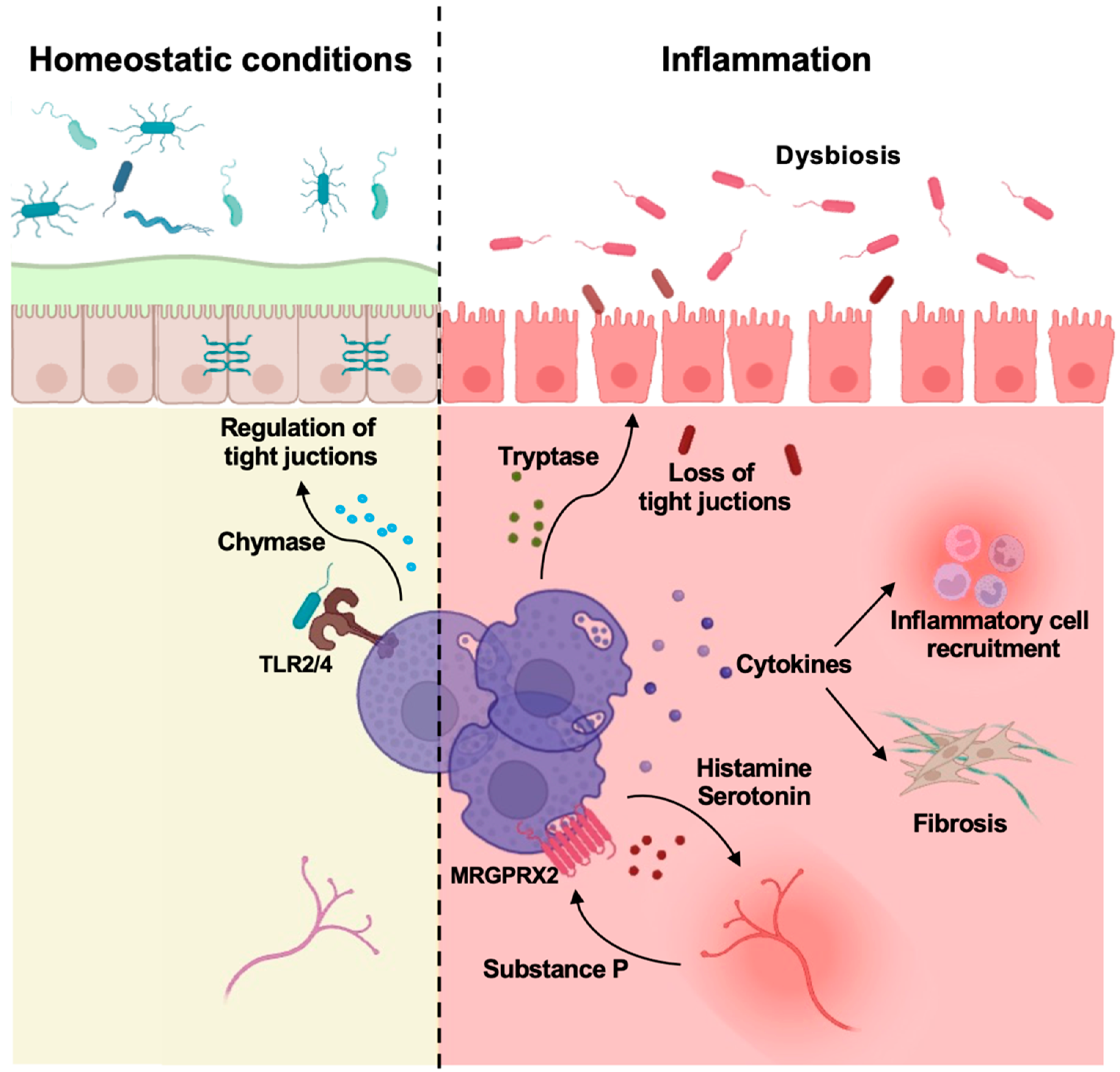 Biomedicines 13 00320 g001