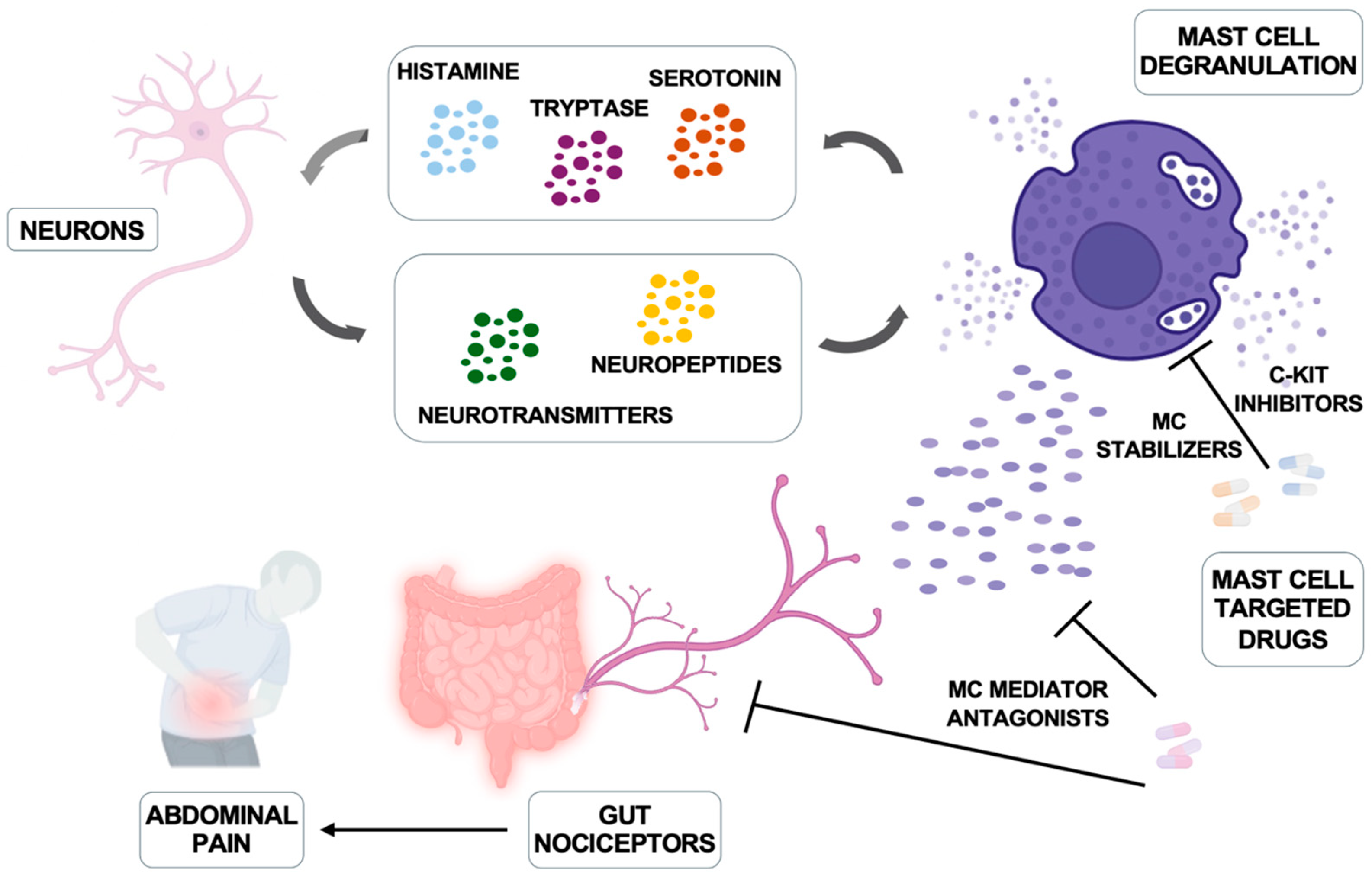 Biomedicines 13 00320 g002