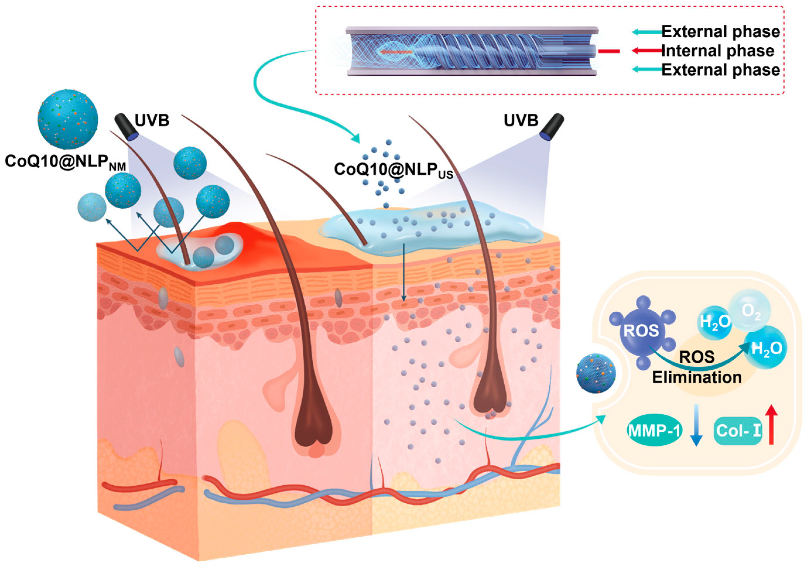 Biomedicines 13 00322 g001