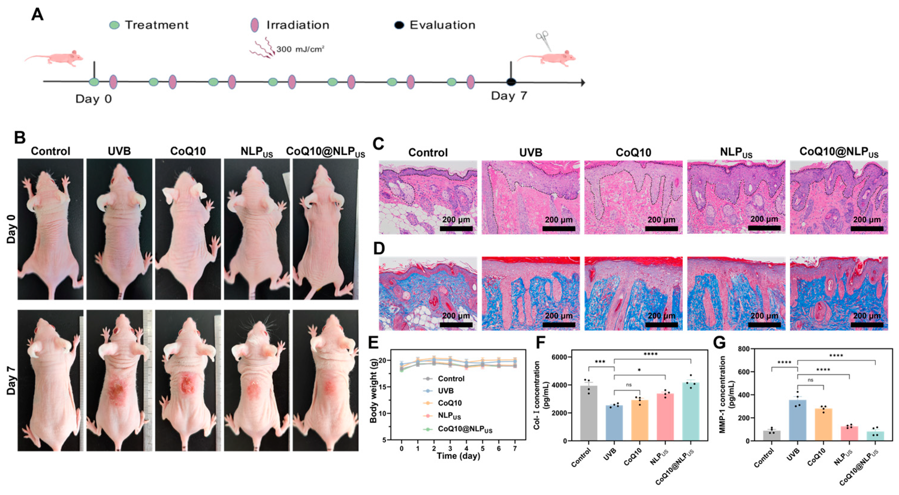 Biomedicines 13 00322 g006