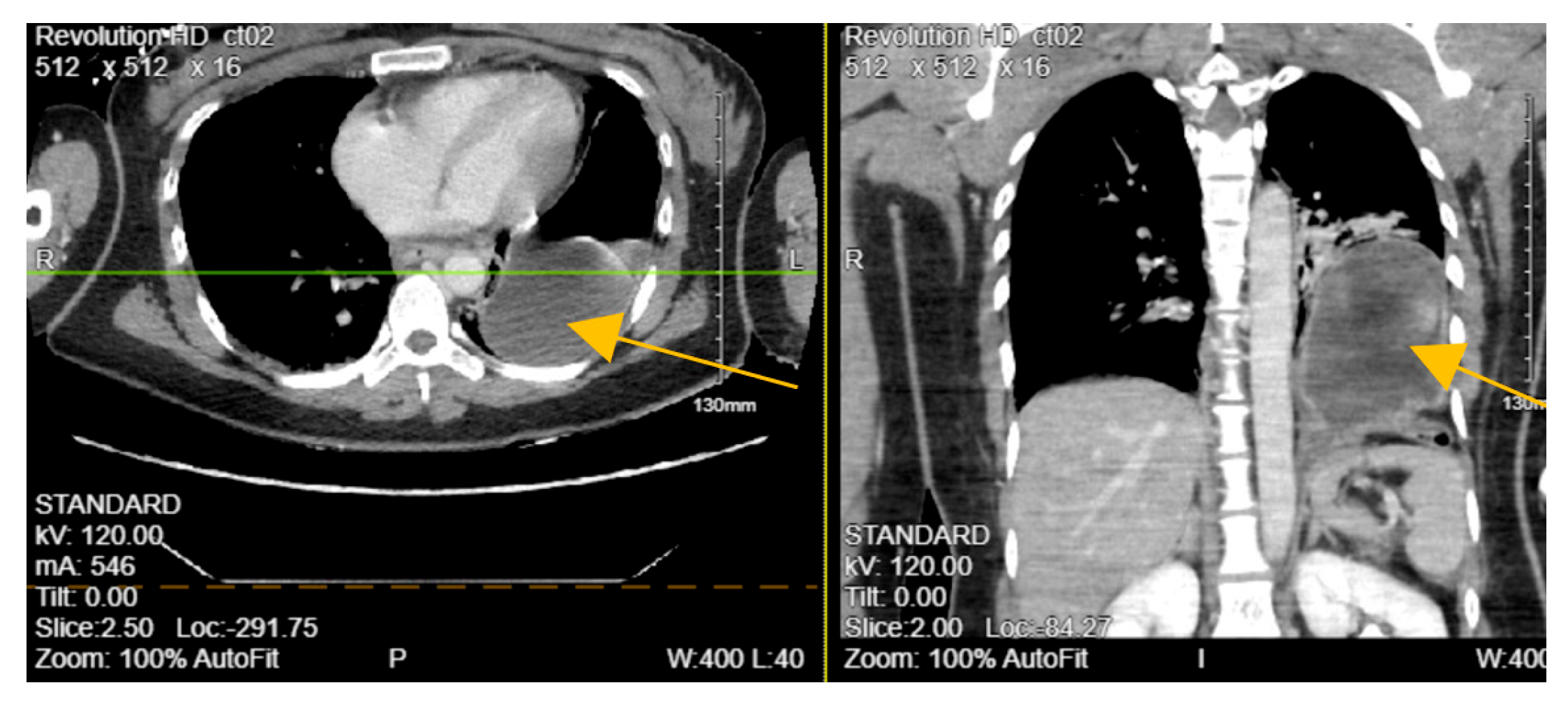 Biomedicines 13 00325 g002