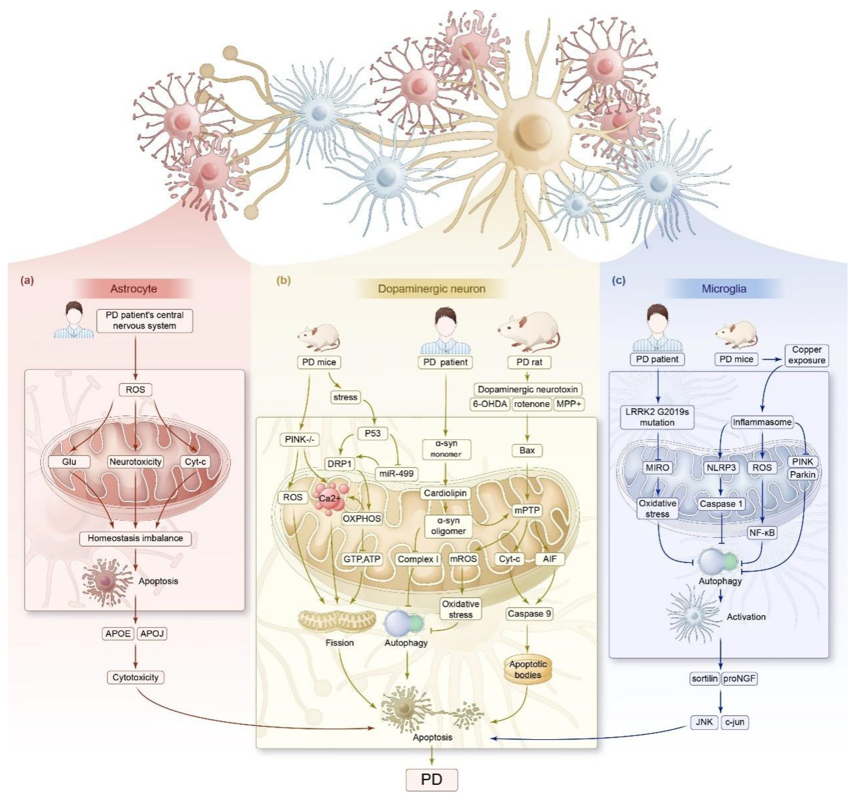 Biomedicines 13 00327 g002