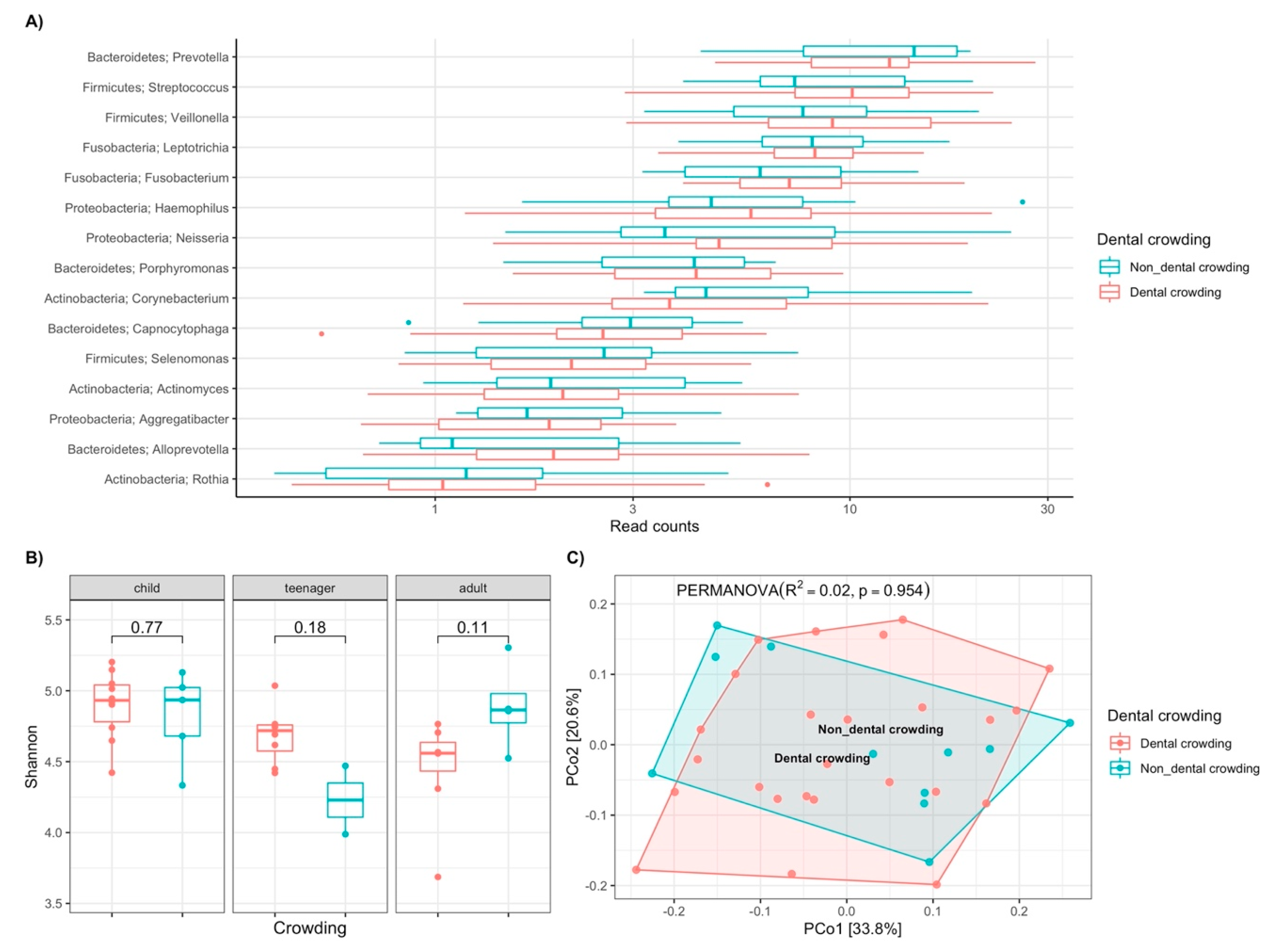 Biomedicines 13 00330 g004