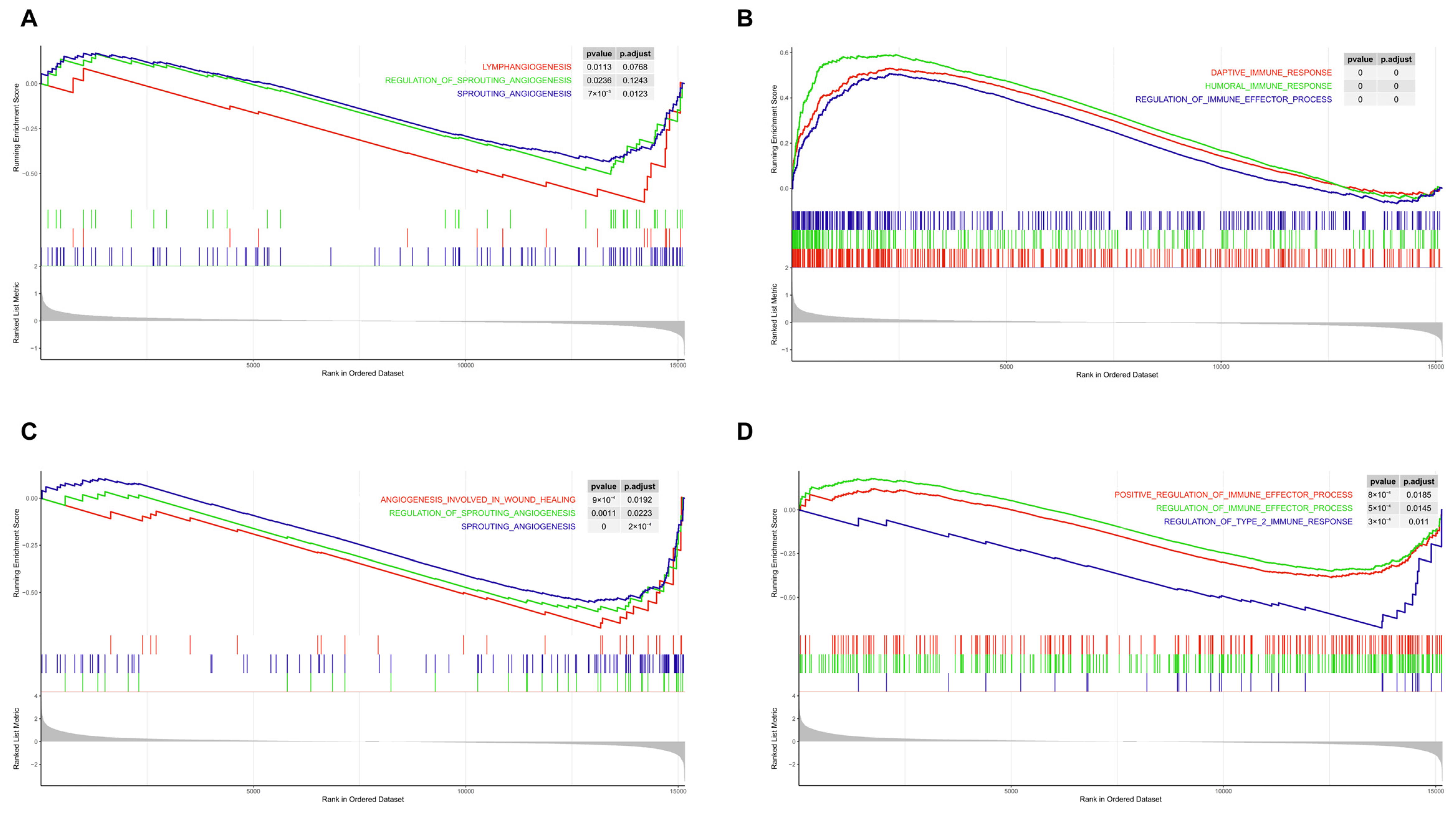 Biomedicines 13 00331 g001